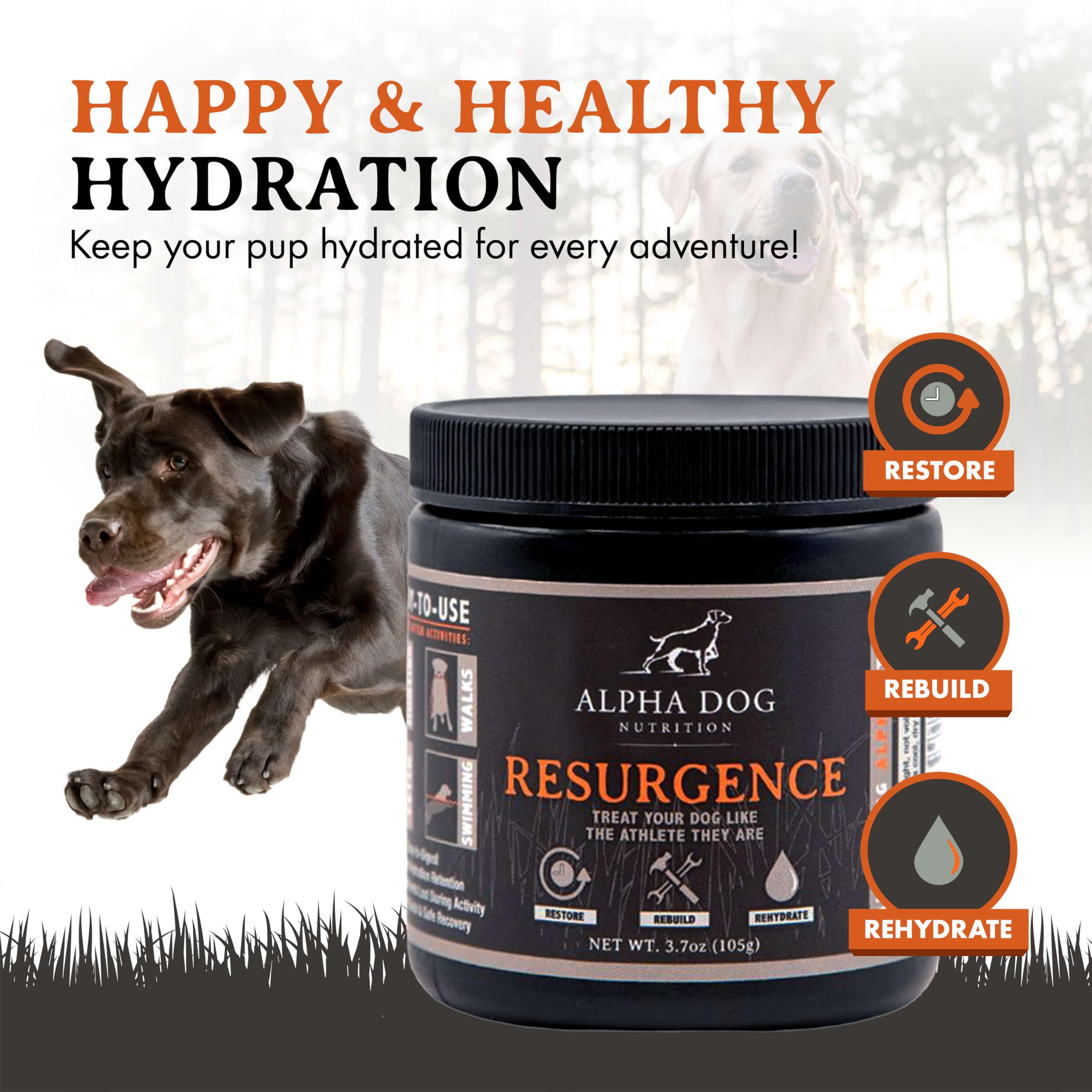 Alpha Dog poudre gros plan révélant texture fine et mélange facile