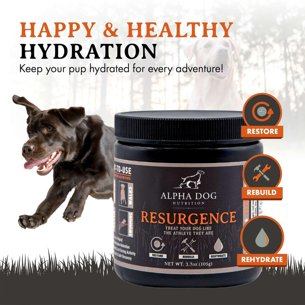 Alpha Dog poudre gros plan révélant texture fine et mélange facile