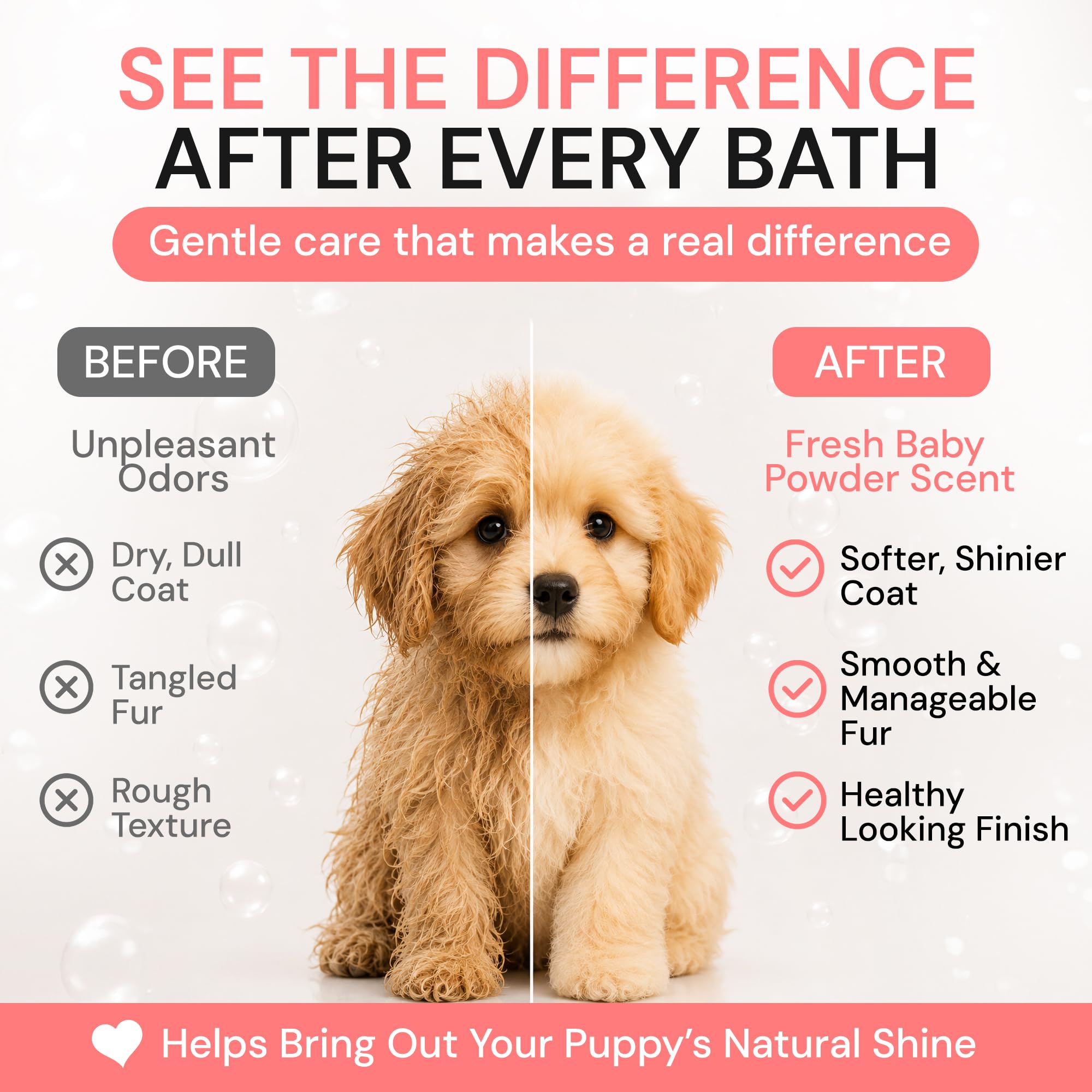 Alpha Dog Series gel d'Aloe Vera et ingrédients naturels pour hydratation apaisante