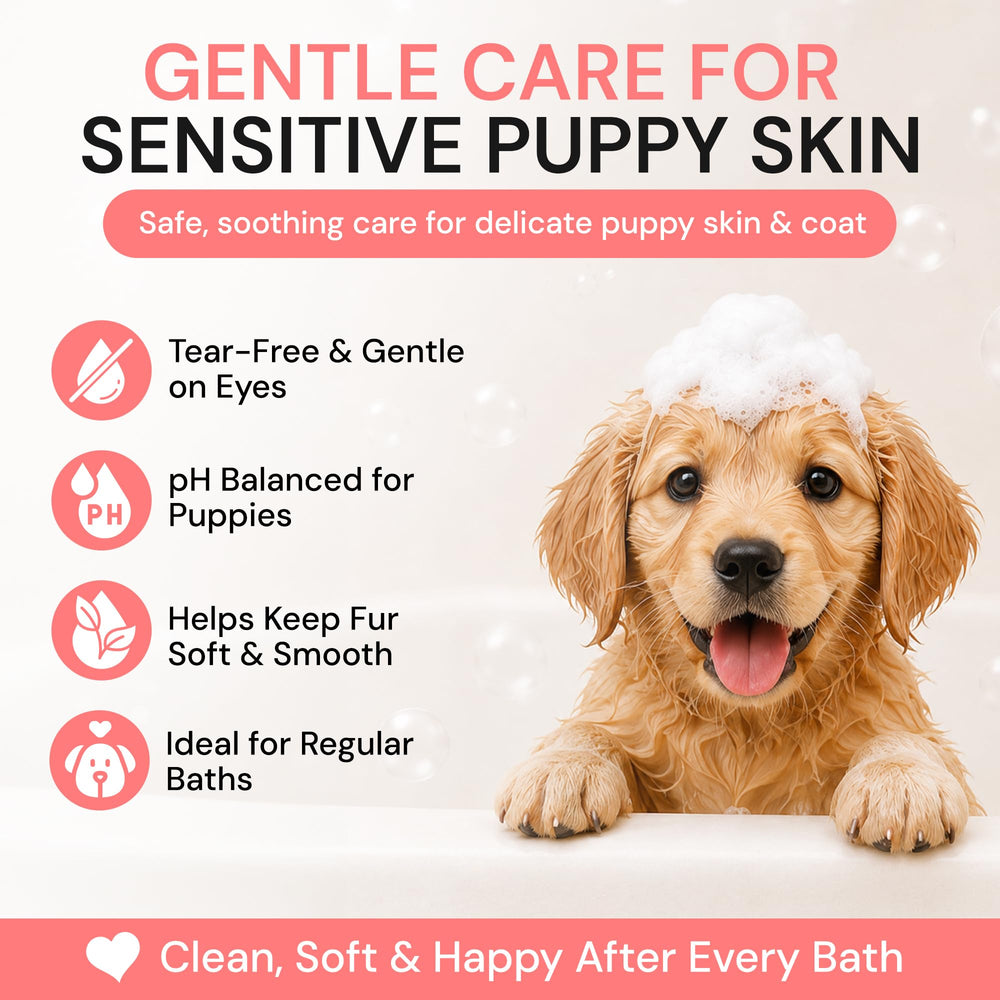 Alpha Dog Series texture de la lotion visible pour un nettoyage doux et hydratant