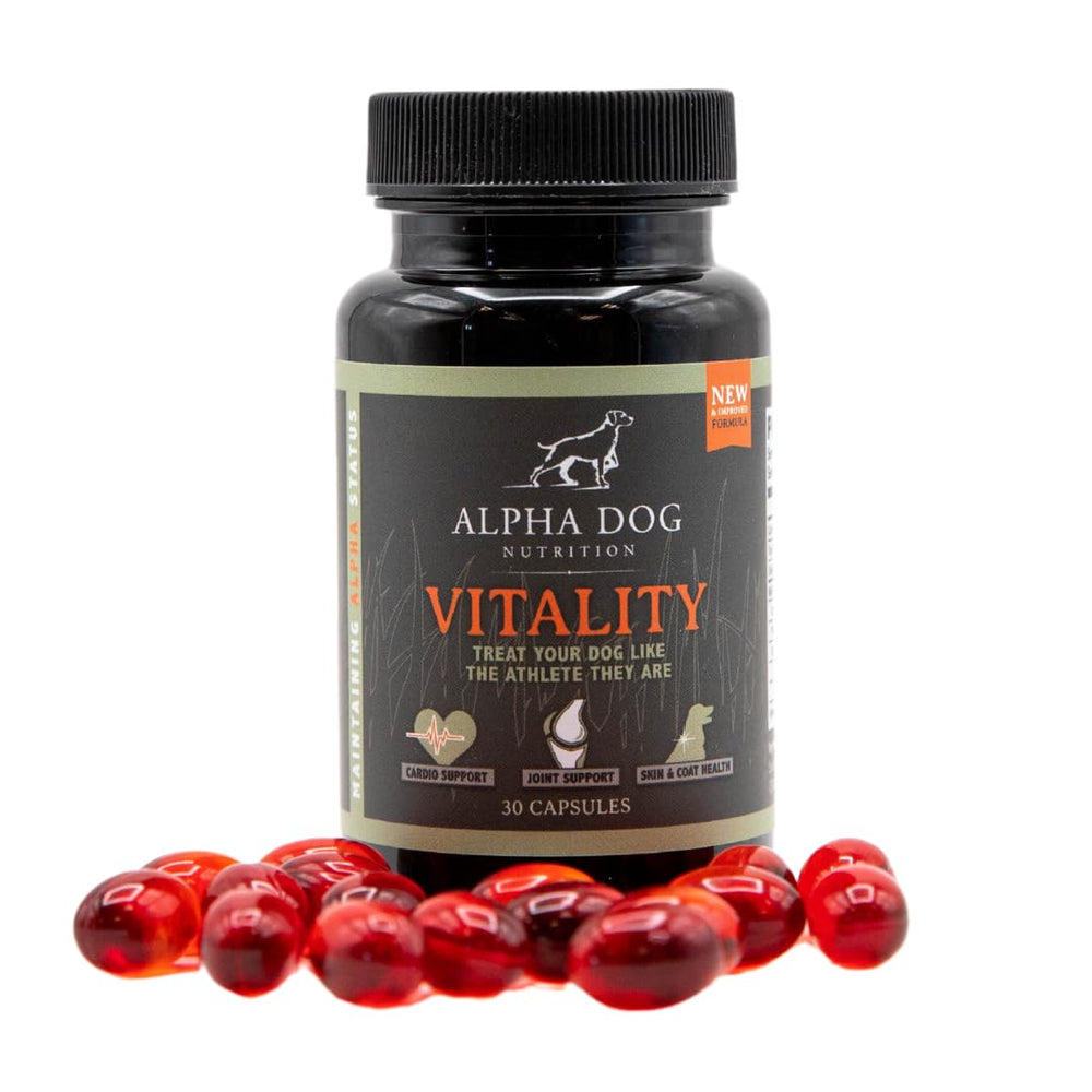 Alpha Dog Vitality boîte et flacon montrant présentation et praticité