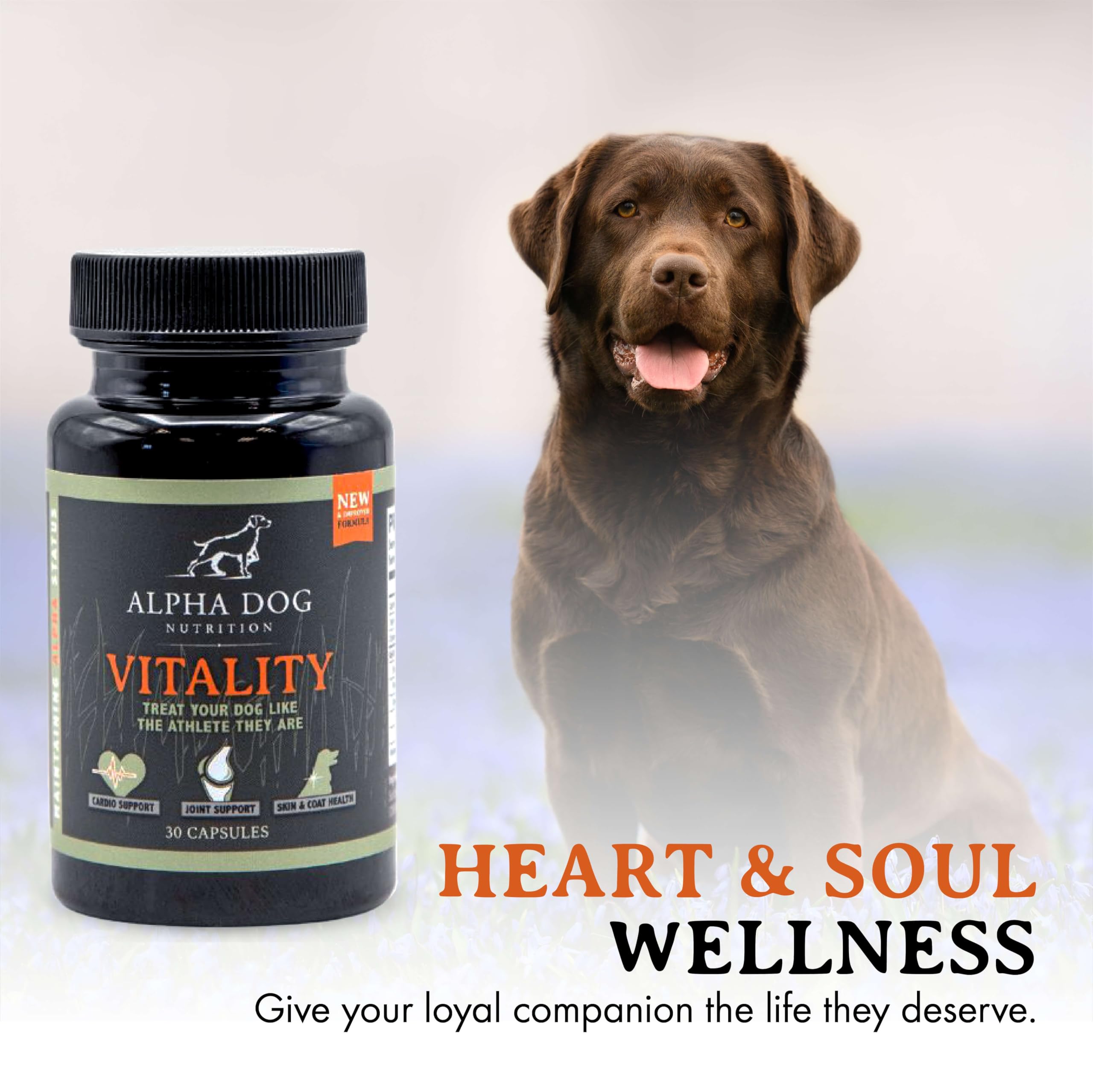 Comparaison d'échelle des softgels Alpha Dog Vitality pour dose adaptée