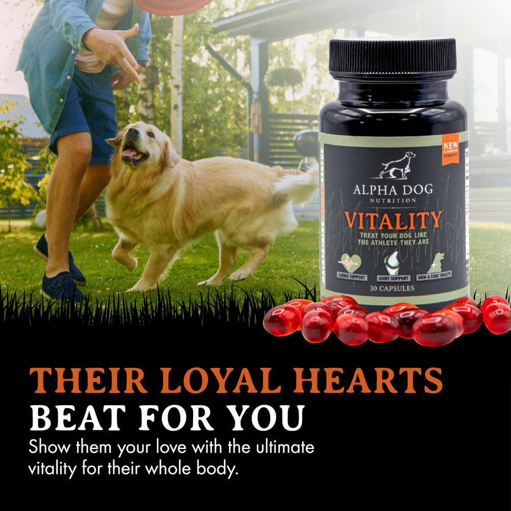 Étiquette Alpha Dog Vitality listant ingrédients essentiels et provenance