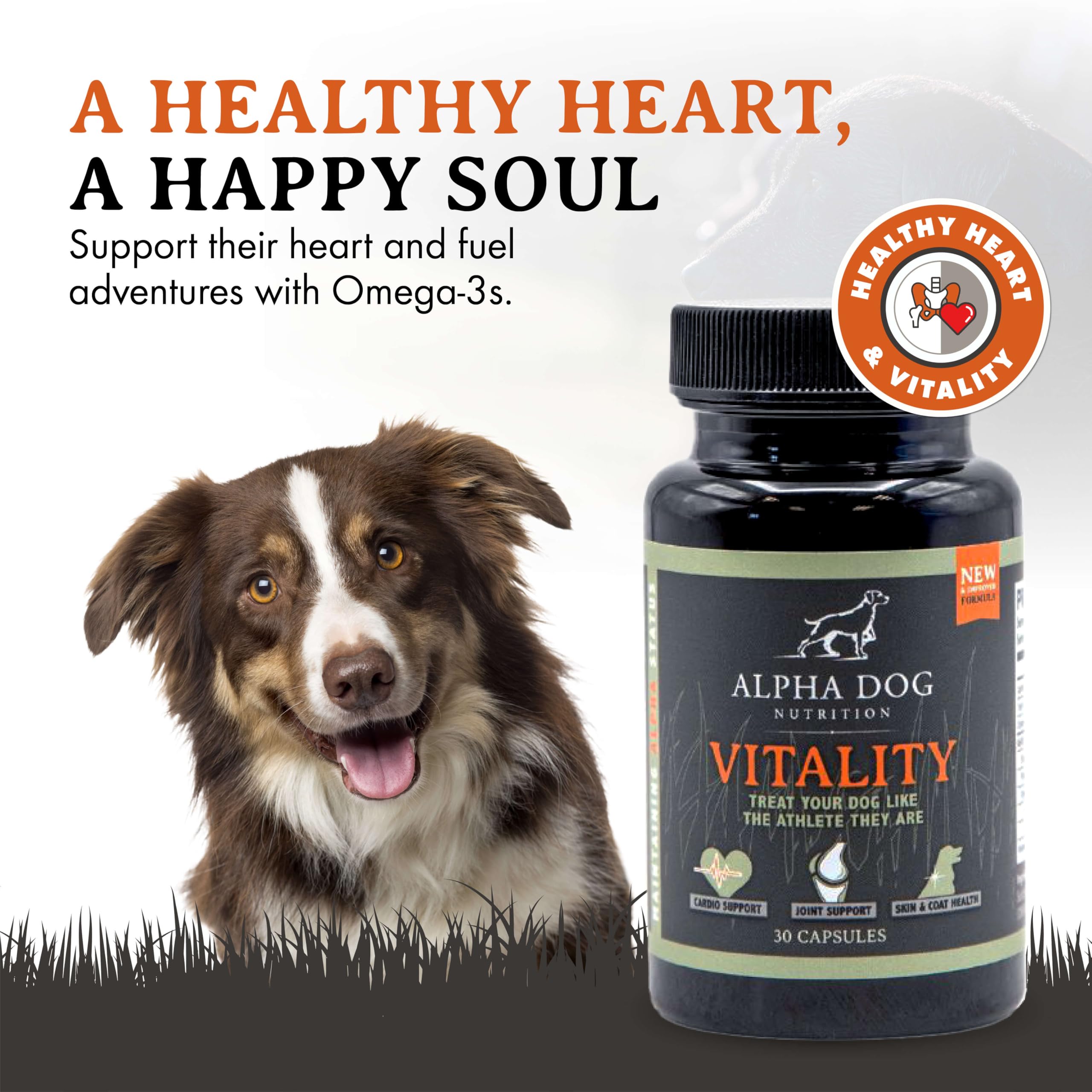 Alpha Dog Vitality gros plan sur une gélule, absorption facile et pureté
