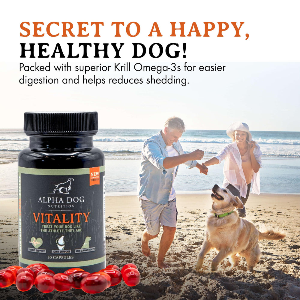 Alpha Dog Vitality huile de krill en texture luisante pour nutrition efficace
