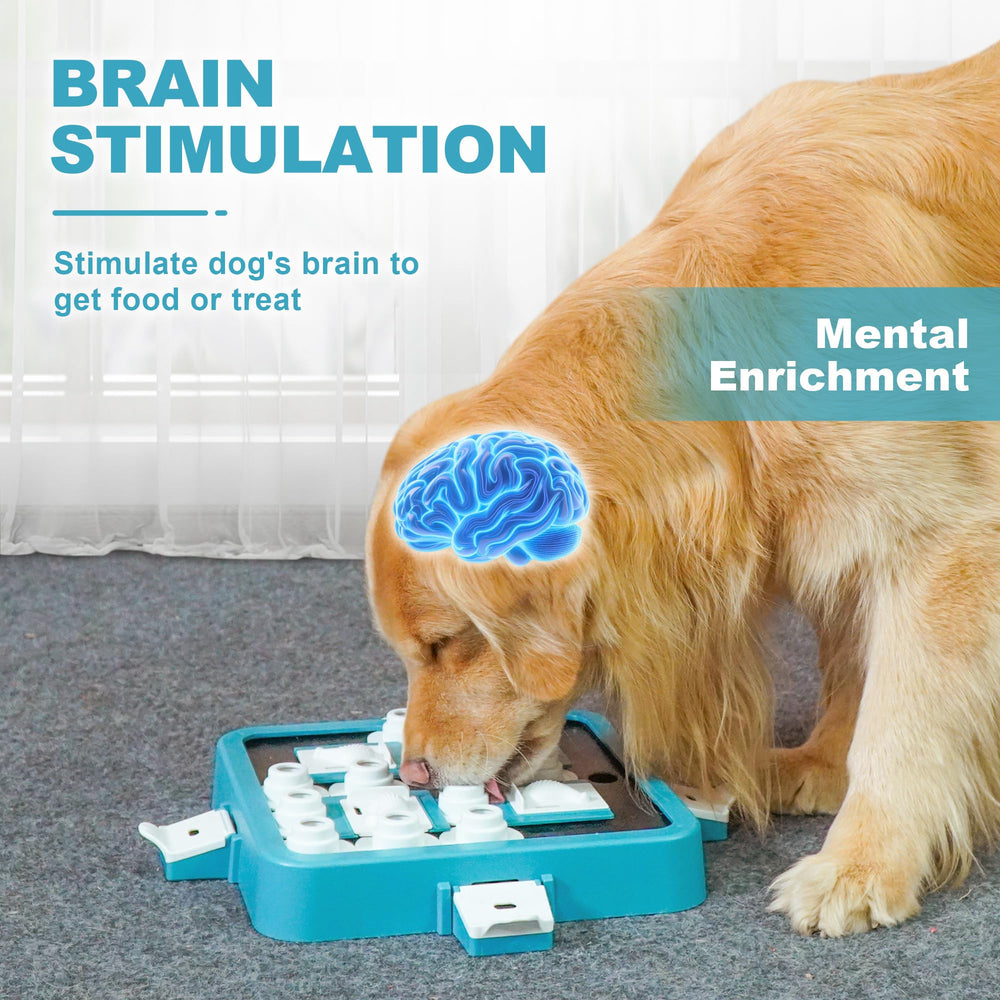Aluckmao chien utilisant le puzzle pour montrer engagement mental et occupation saine
