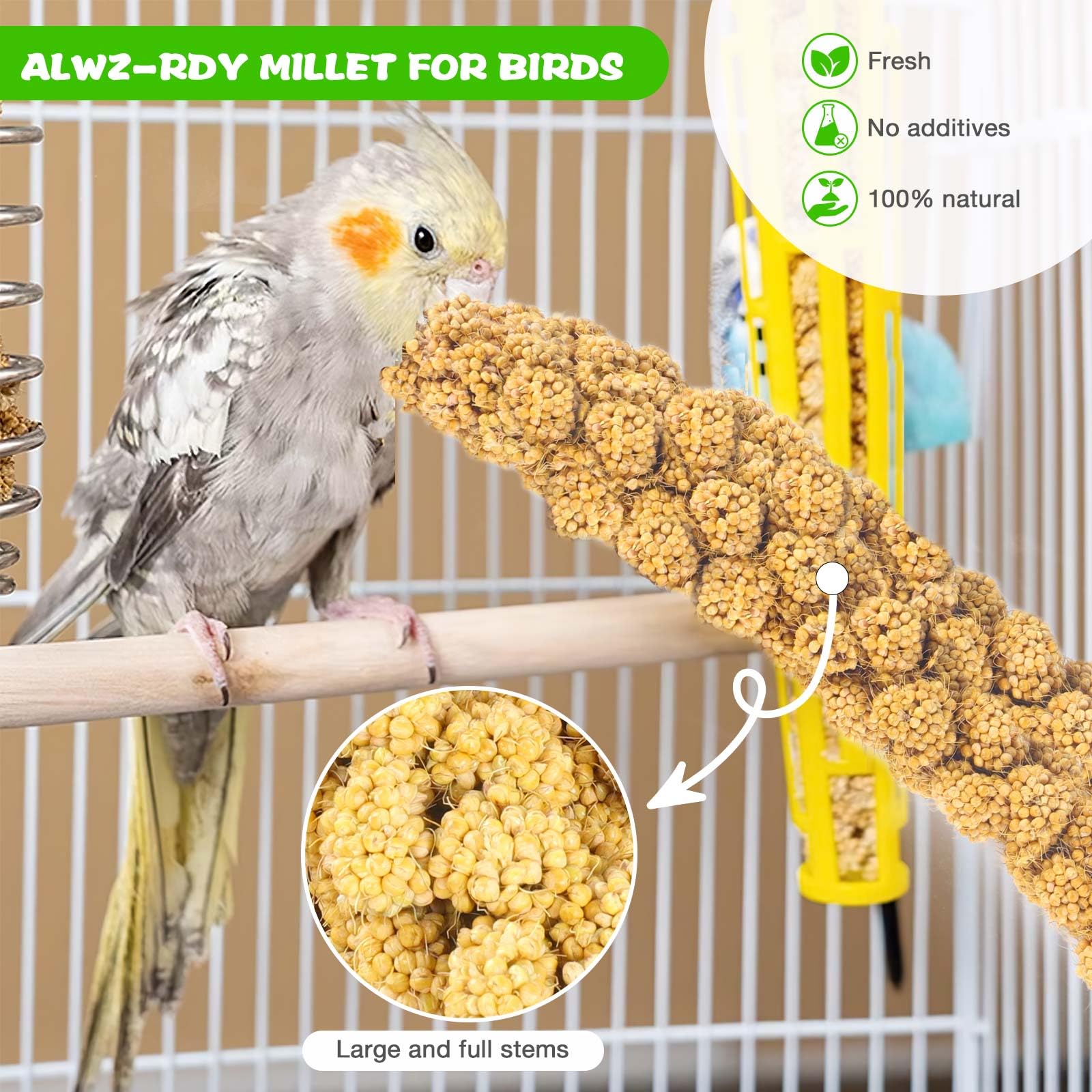 ALWZ-RDY gros plan sur grains de millet, riche en nutriments naturels