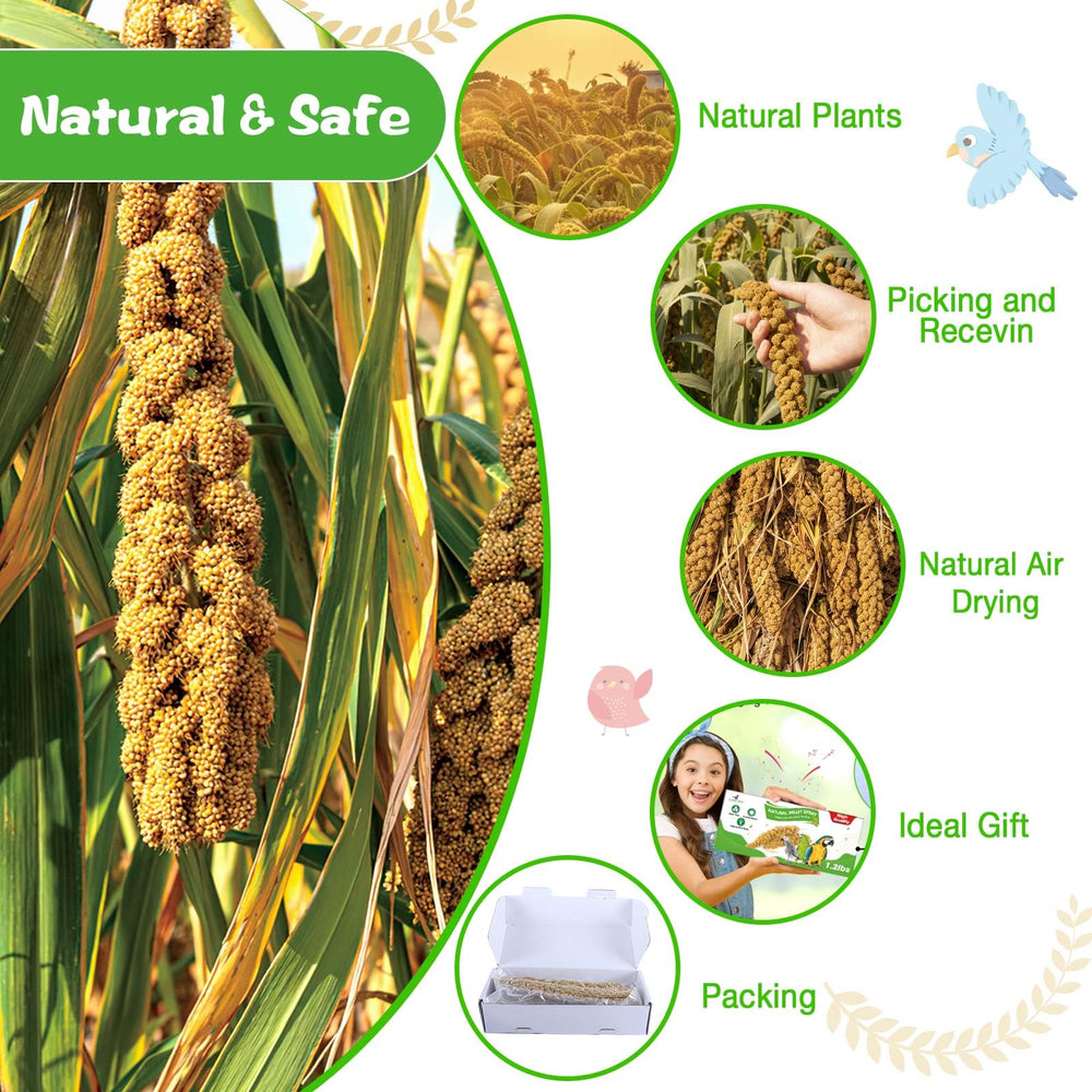 ALWZ-RDY millet accroché dans une cage stimulant picorage et activité