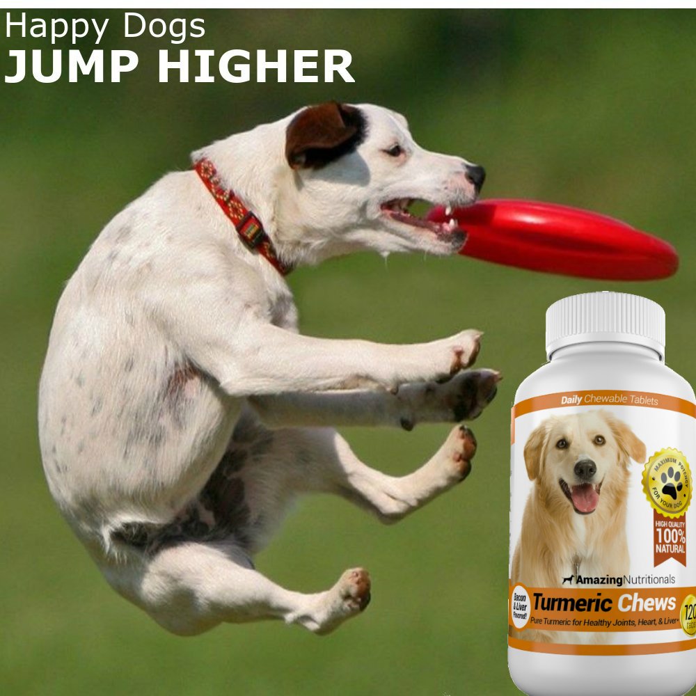Amazing Nutritionals chien acceptant bouchée pratique et savoureuse