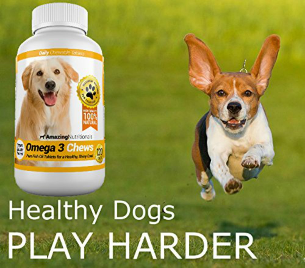 Amazing Nutritionals chiot mangeant un chew, bénéfice acceptation chez chiens difficiles