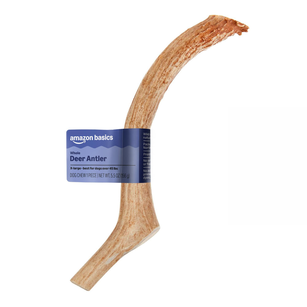 Amazon Basics andouiller face avant montrant taille et robustesse pour mastication