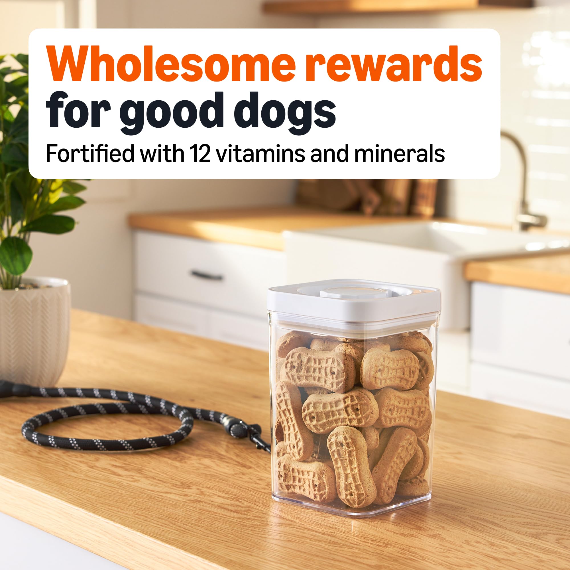 Amazon Basics portion de biscuits dans la main : commande facile pour récompense