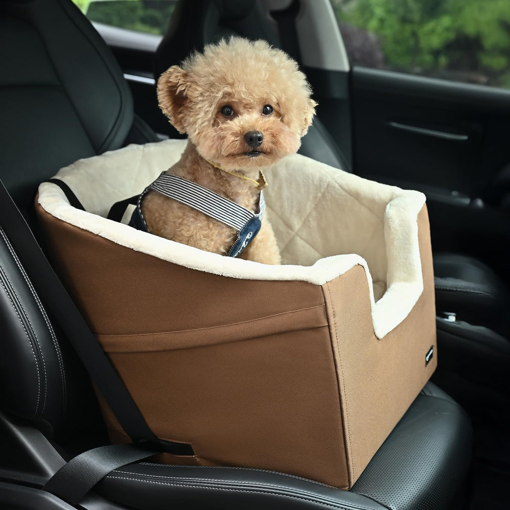 Amazon Basics comparaison taille chien montrant capacité jusqu’à 11 kg