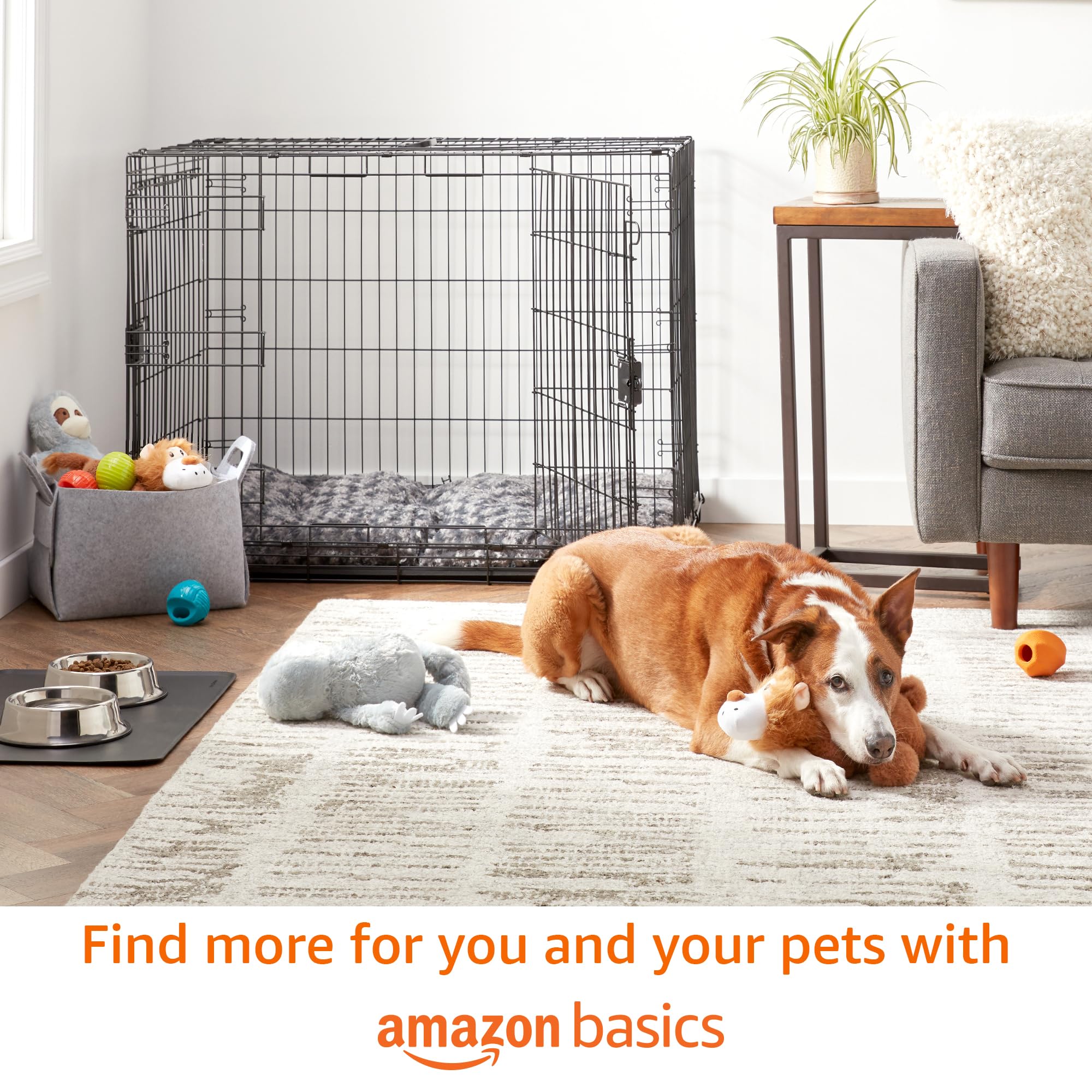 Amazon Basics ensemble complet 18 rouleaux et distributeur pour stock