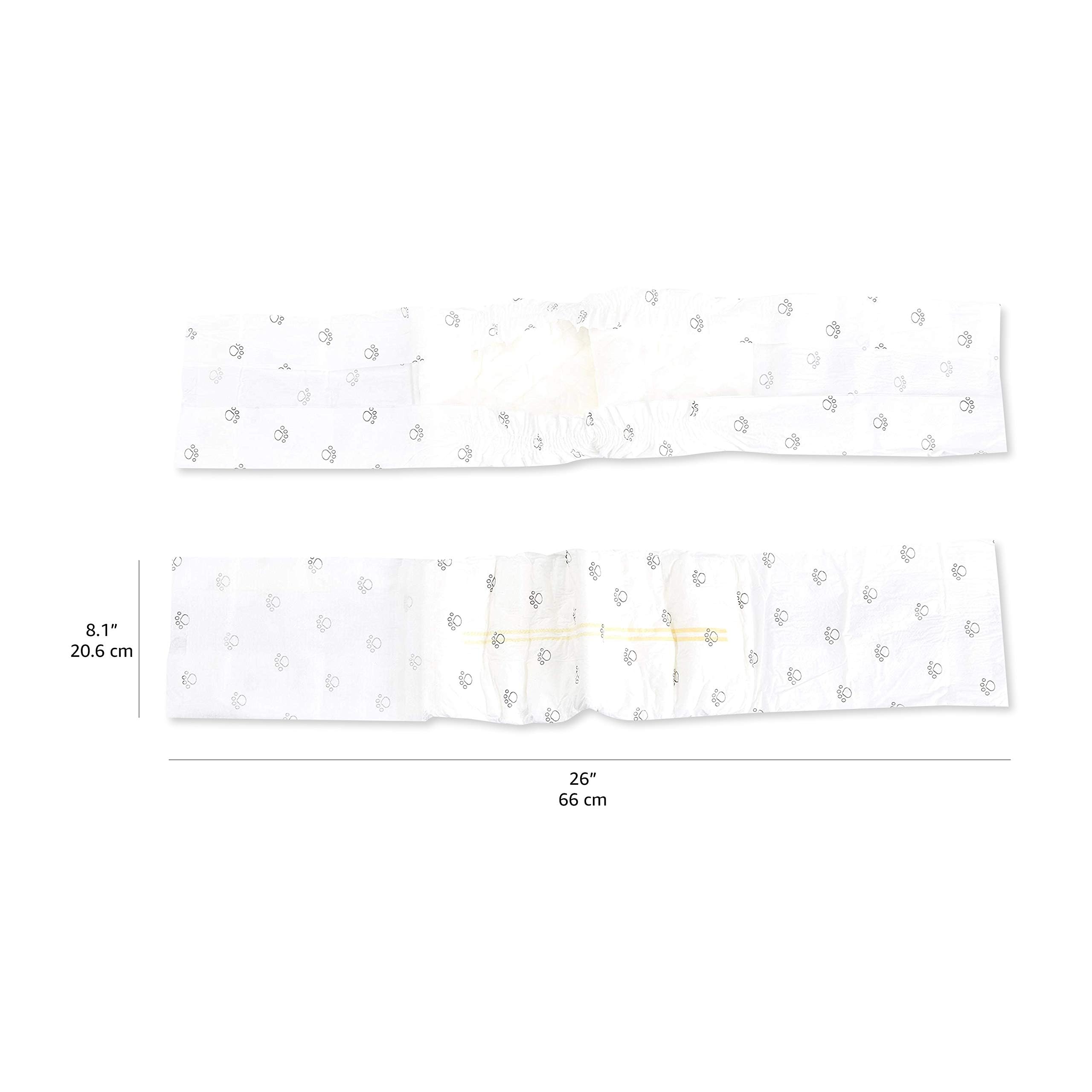Amazon Basics couche portée par chien mâle illustrant coupe et confort en mouvement