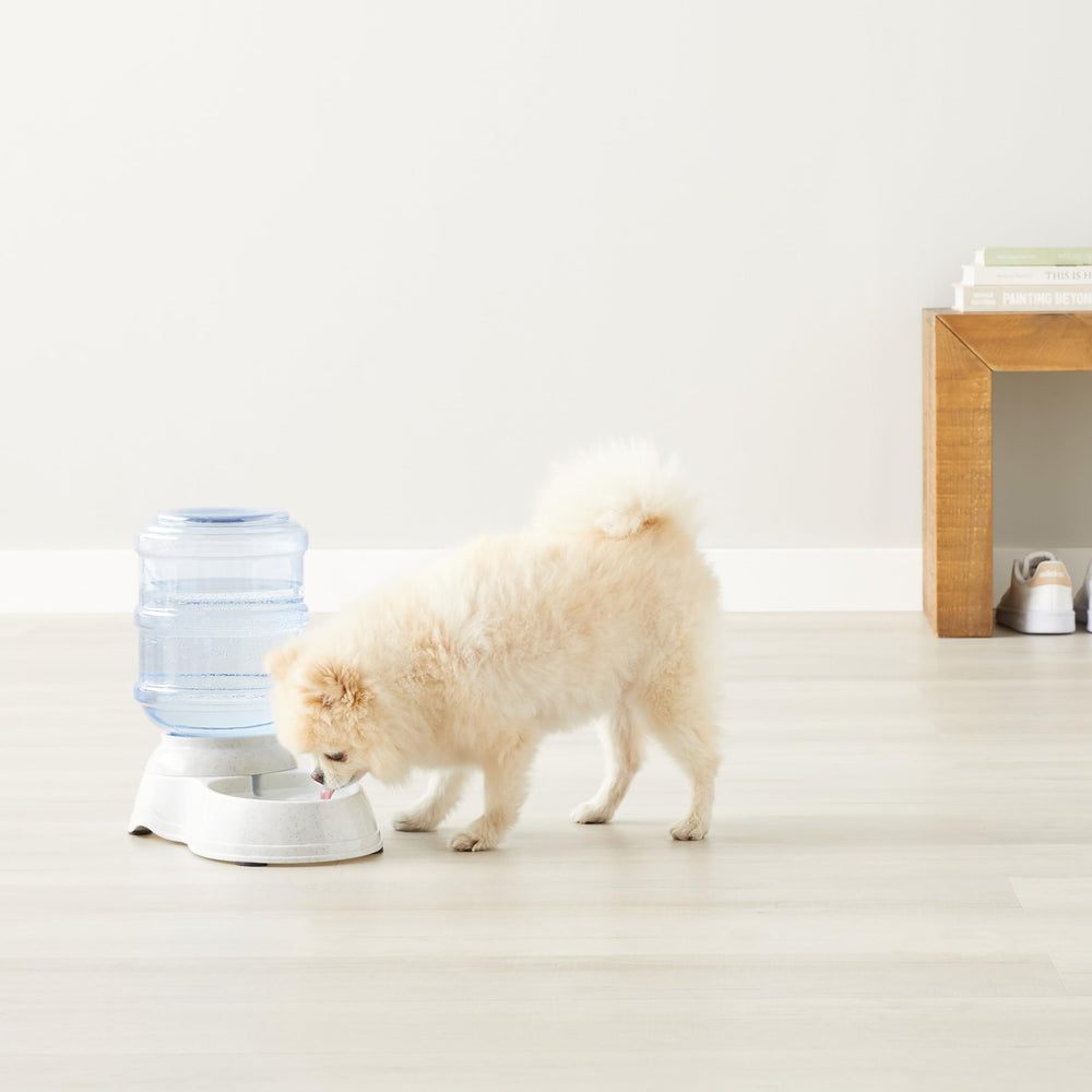Amazon Basics fontaine en situation cuisine offrant autonomie et gain de temps