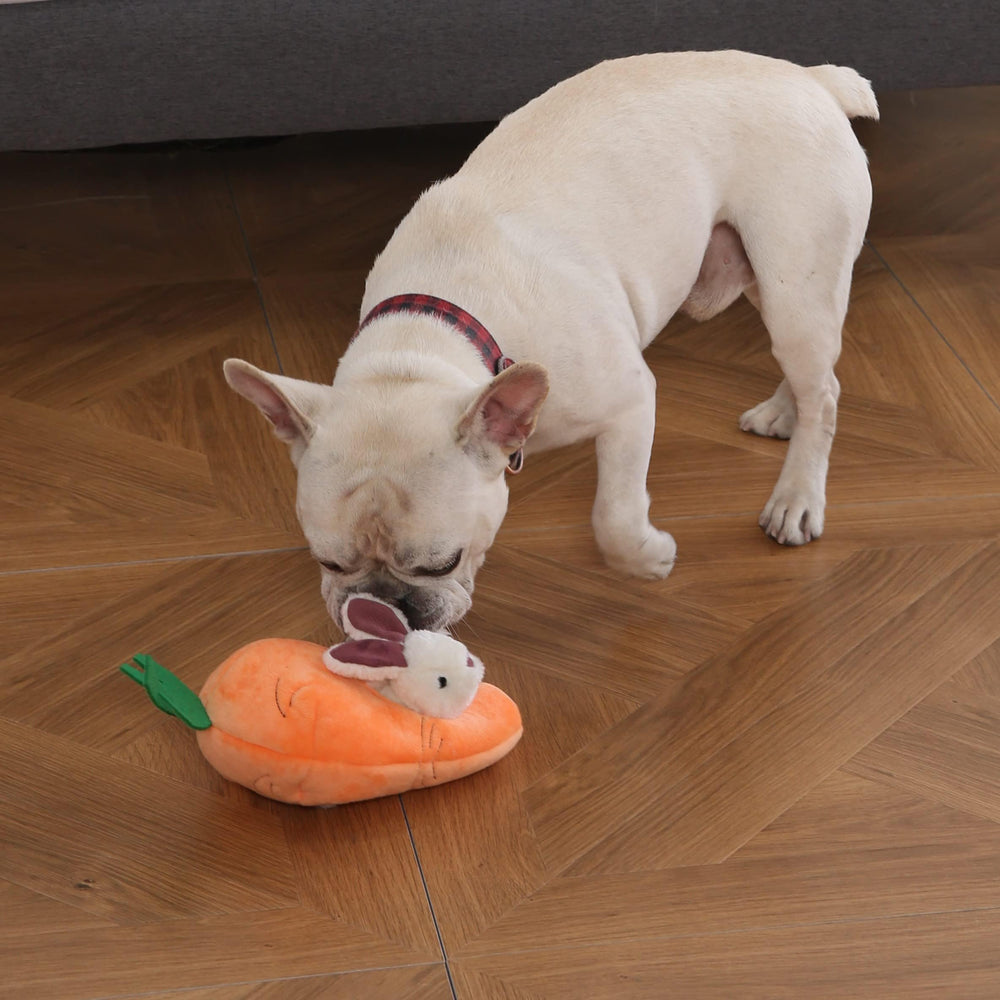 Amazon Basics chiot jouant avec le jouet, favorise activité interactive