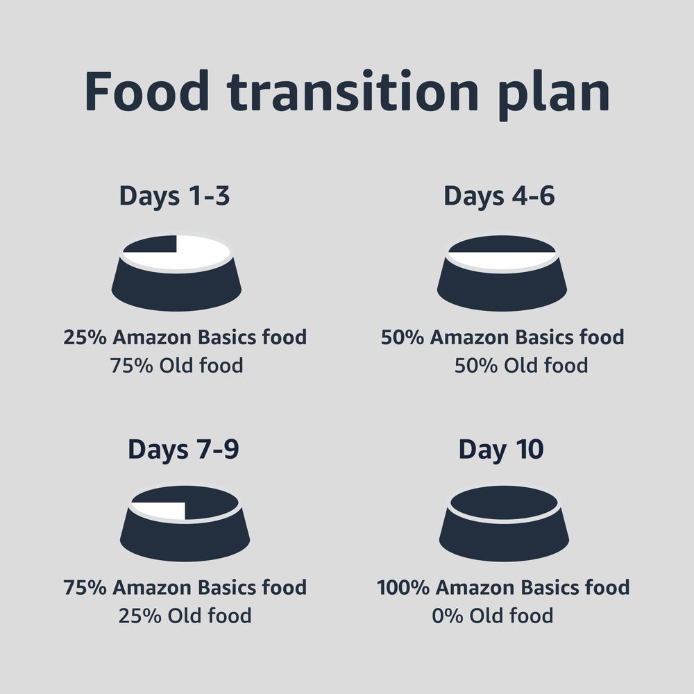 Amazon Basics comparaison taille conserve utile pour planification repas