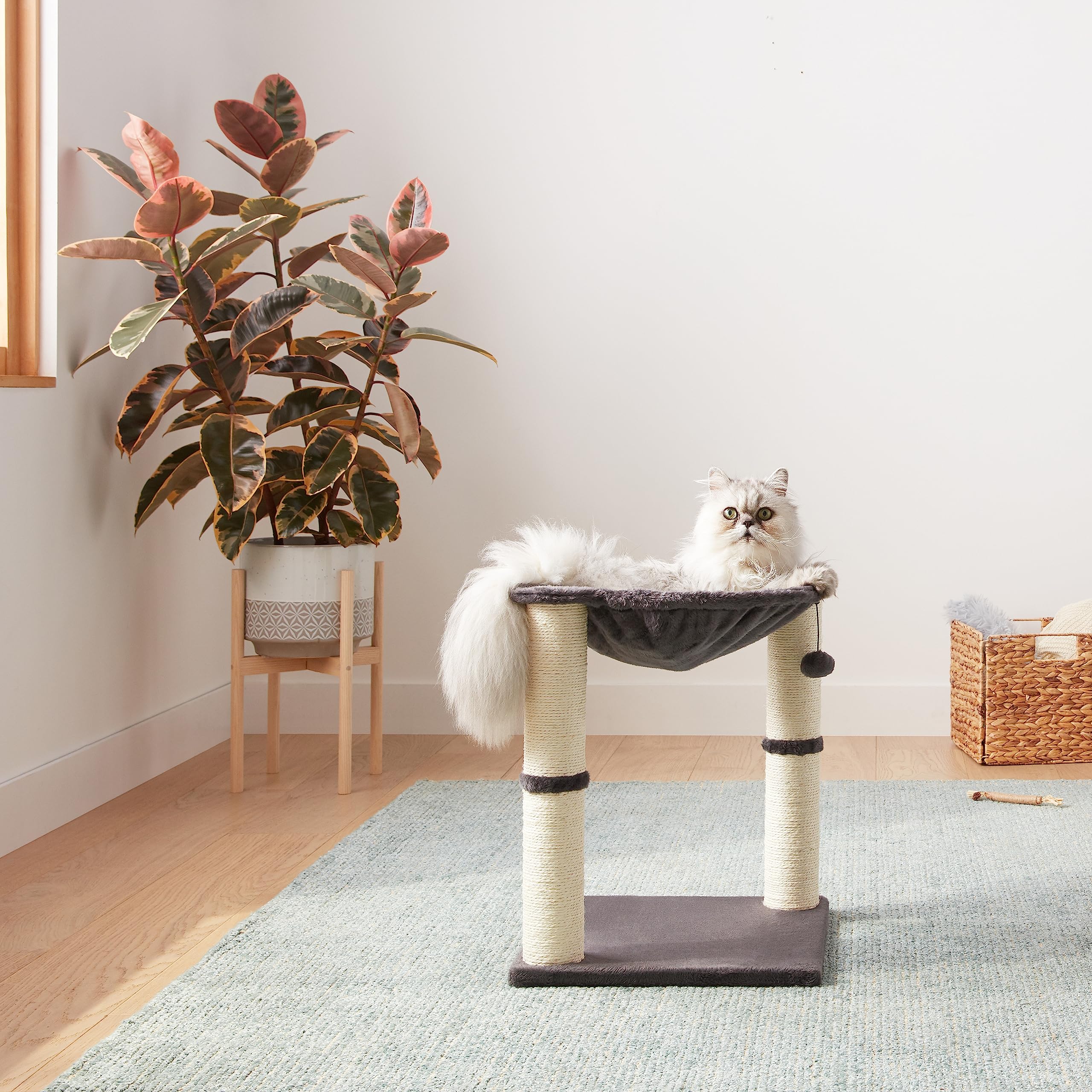 Amazon Basics scène vie intérieur tour compacte intégrée dans salon moderne