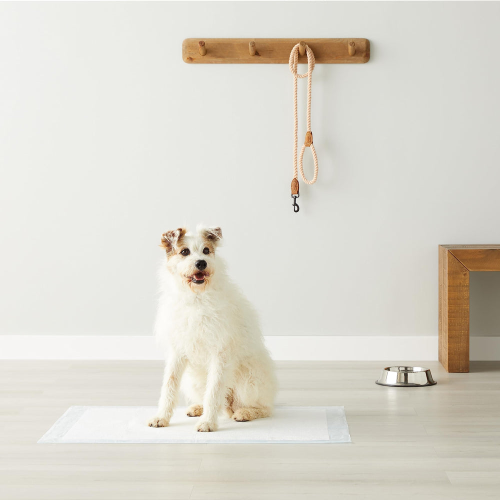 Amazon Basics tapis dans un salon montrant protection du sol et usage quotidien