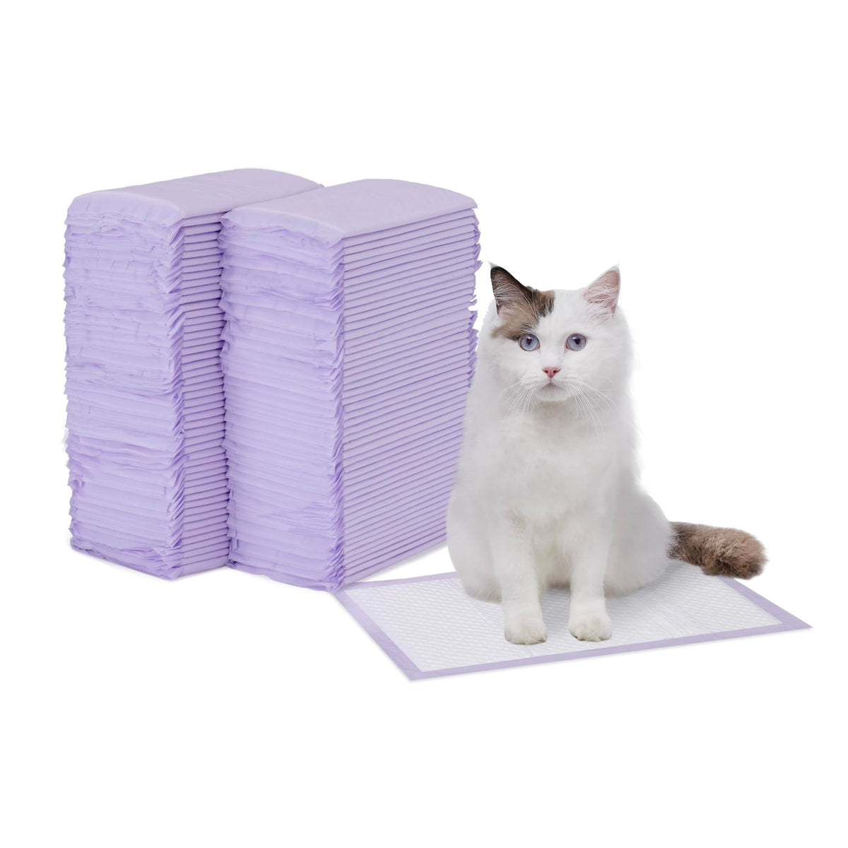 Amazon Basics tapis devant bac à litière montrant installation facile et propreté
