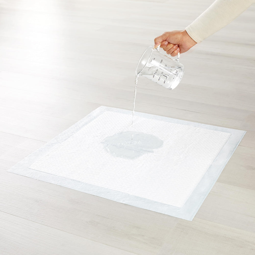 Amazon Basics tapis en usage avec chiot pour entraînement guidé