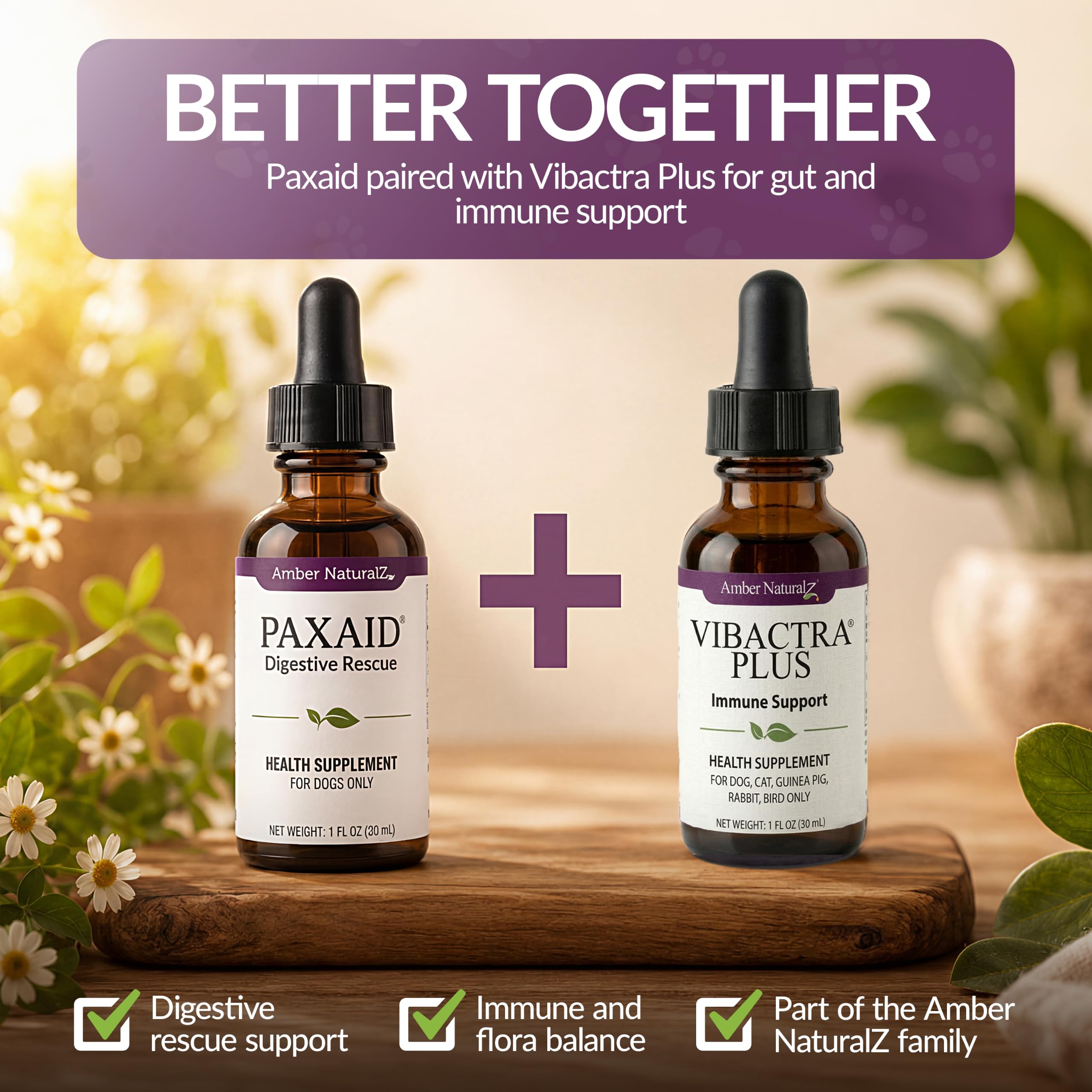 AMBER NATURALZ chien relaxé après usage mettant en avant confort digestif