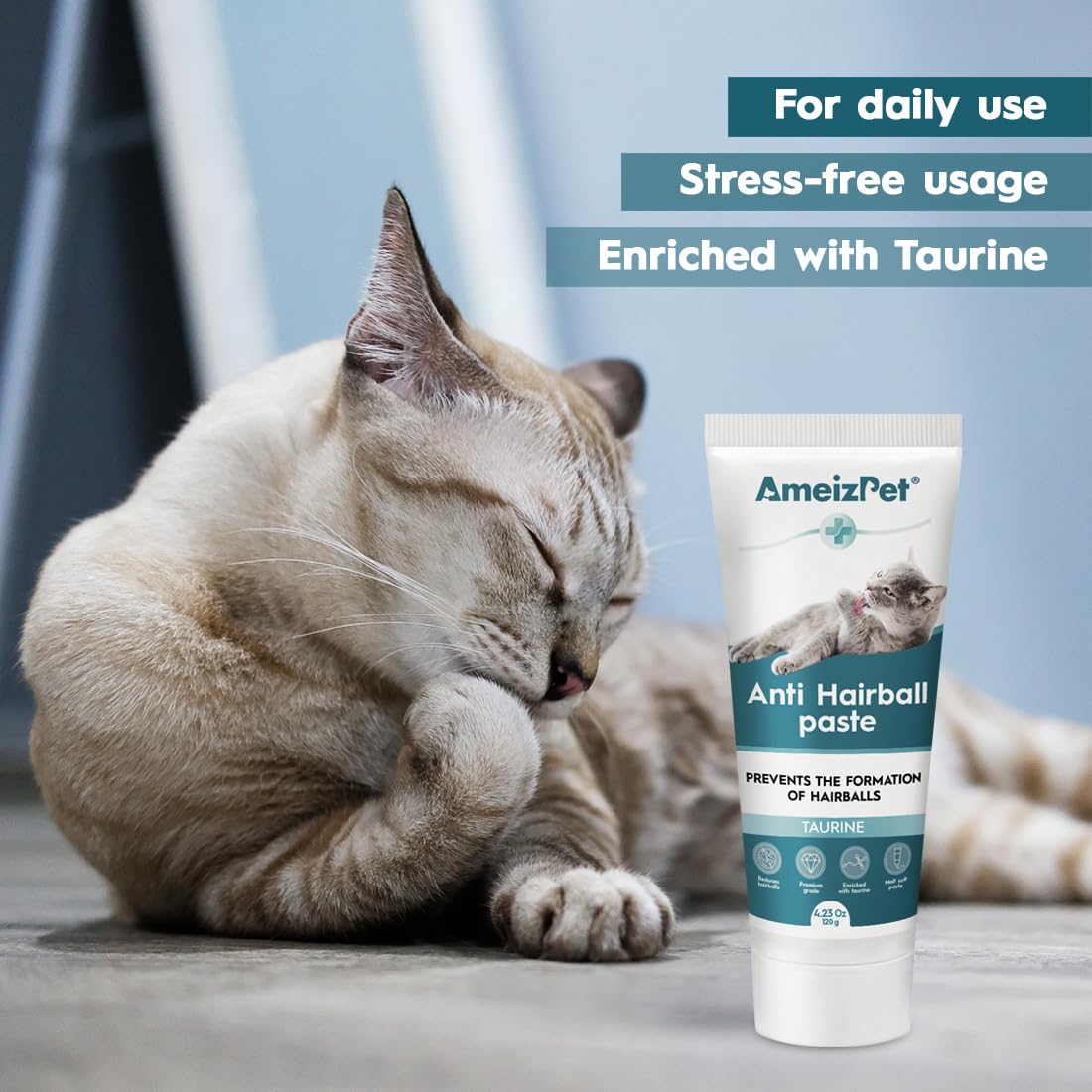 AmeizPet chat qui lèche la pâte illustrant appétence élevée