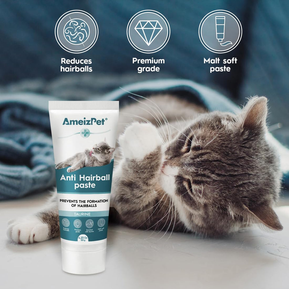 AmeizPet texture gros plan de la pâte montrant consistance lisse