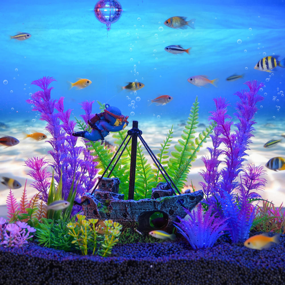 Ameliade décor installé en aquarium augmentant complexité habitat