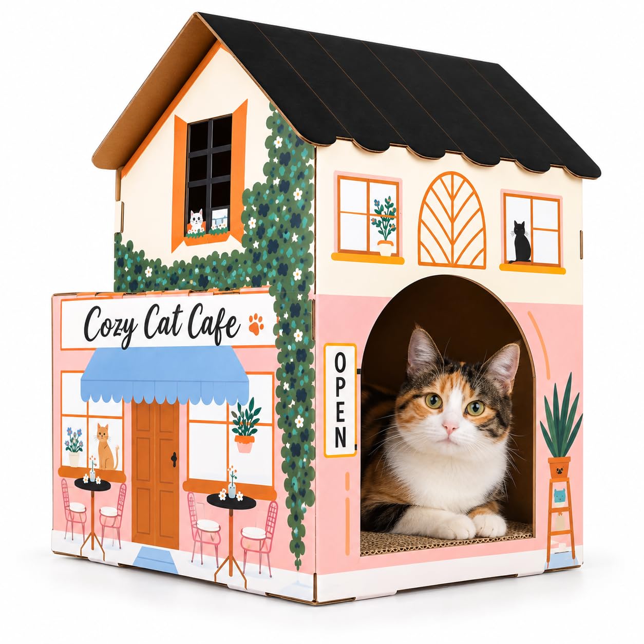 American Cat Club devant de la maison café, refuge confortable pour repos
