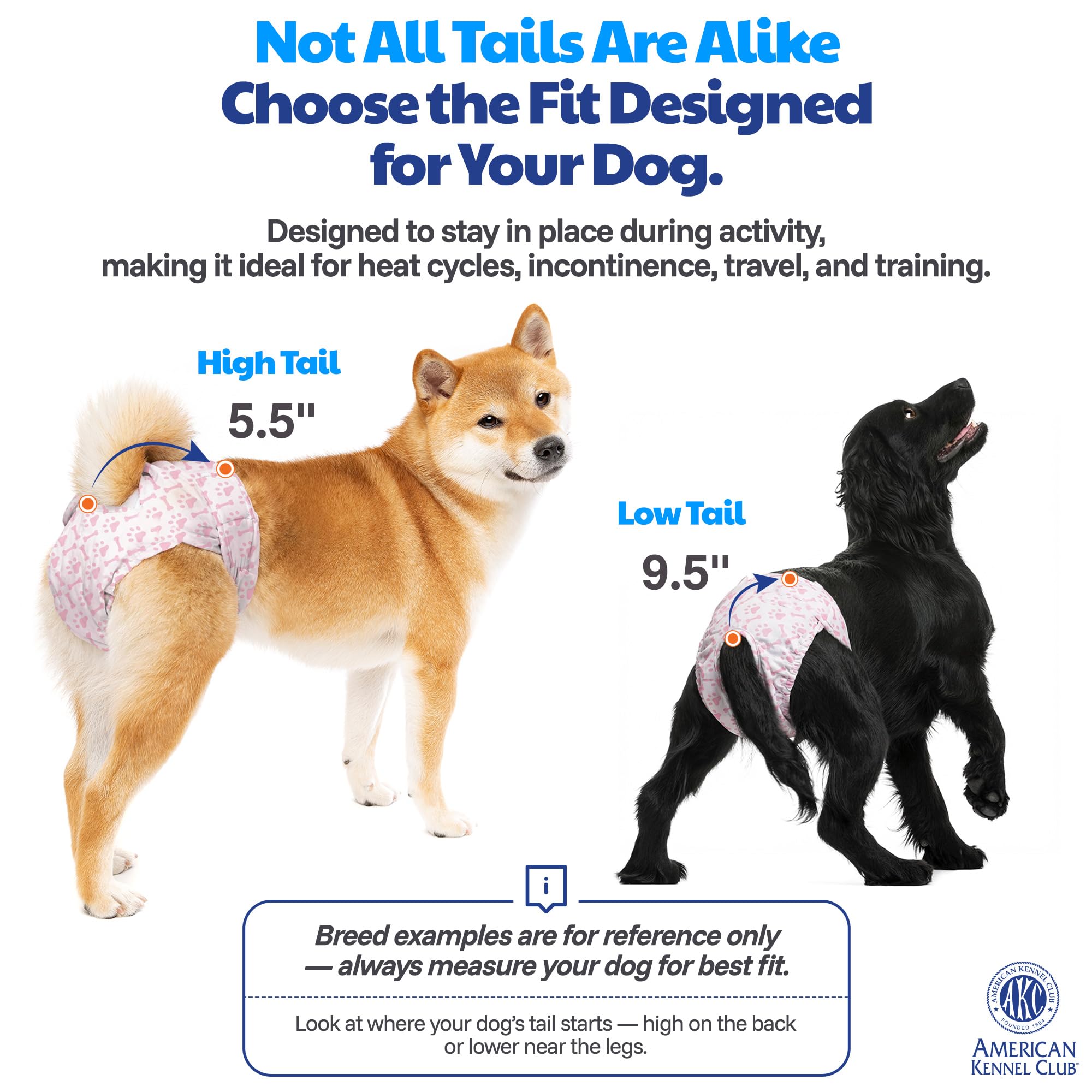 American Kennel Club comparaison de taille L pour mesurer ajustement