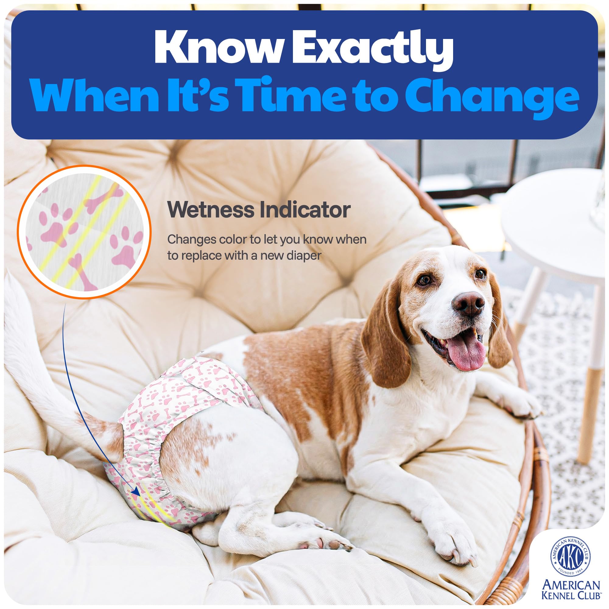 American Kennel Club indicateur d'humidité visible pour changements rapides