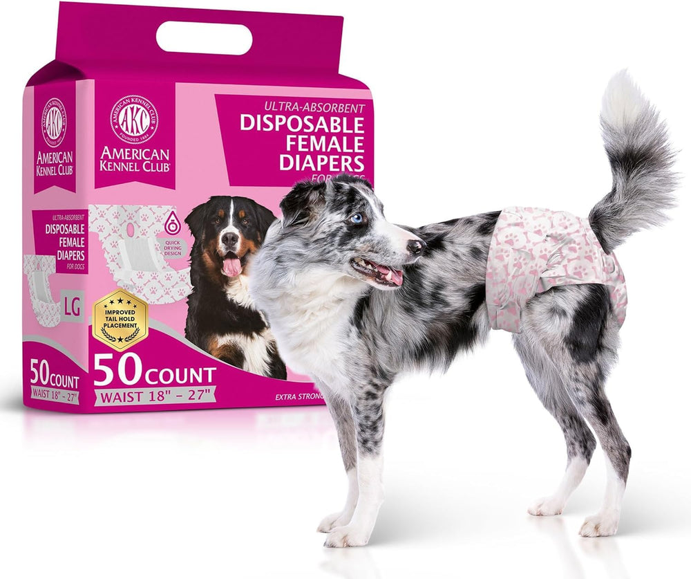 American Kennel Club emballage frontal montrant pack de 50 et taille L
