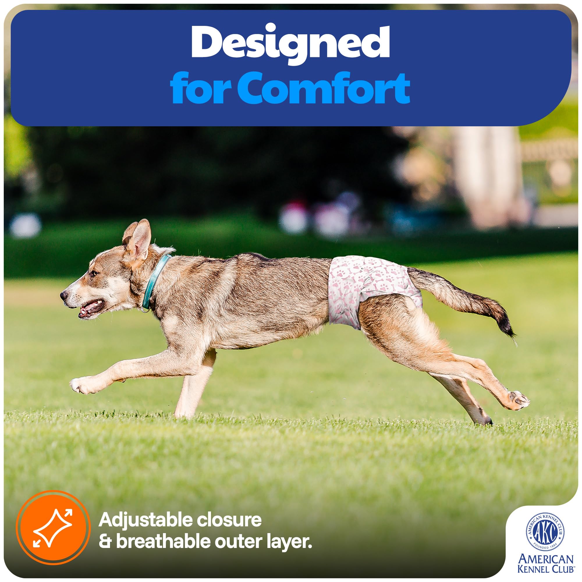 American Kennel Club fermeture ajustable assurant maintien confortable