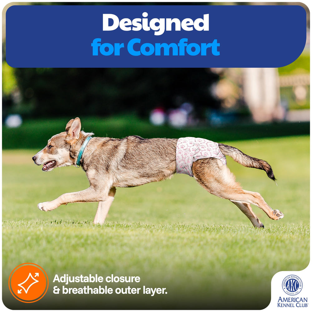 American Kennel Club fermeture ajustable assurant maintien confortable