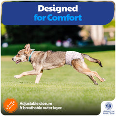 American Kennel Club fermeture ajustable assurant maintien confortable