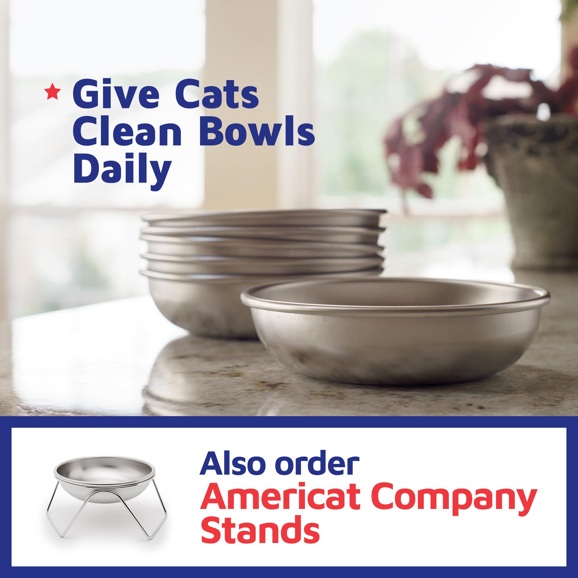 Americat Company profil du bol montrant le design whisker friendly bénéfique