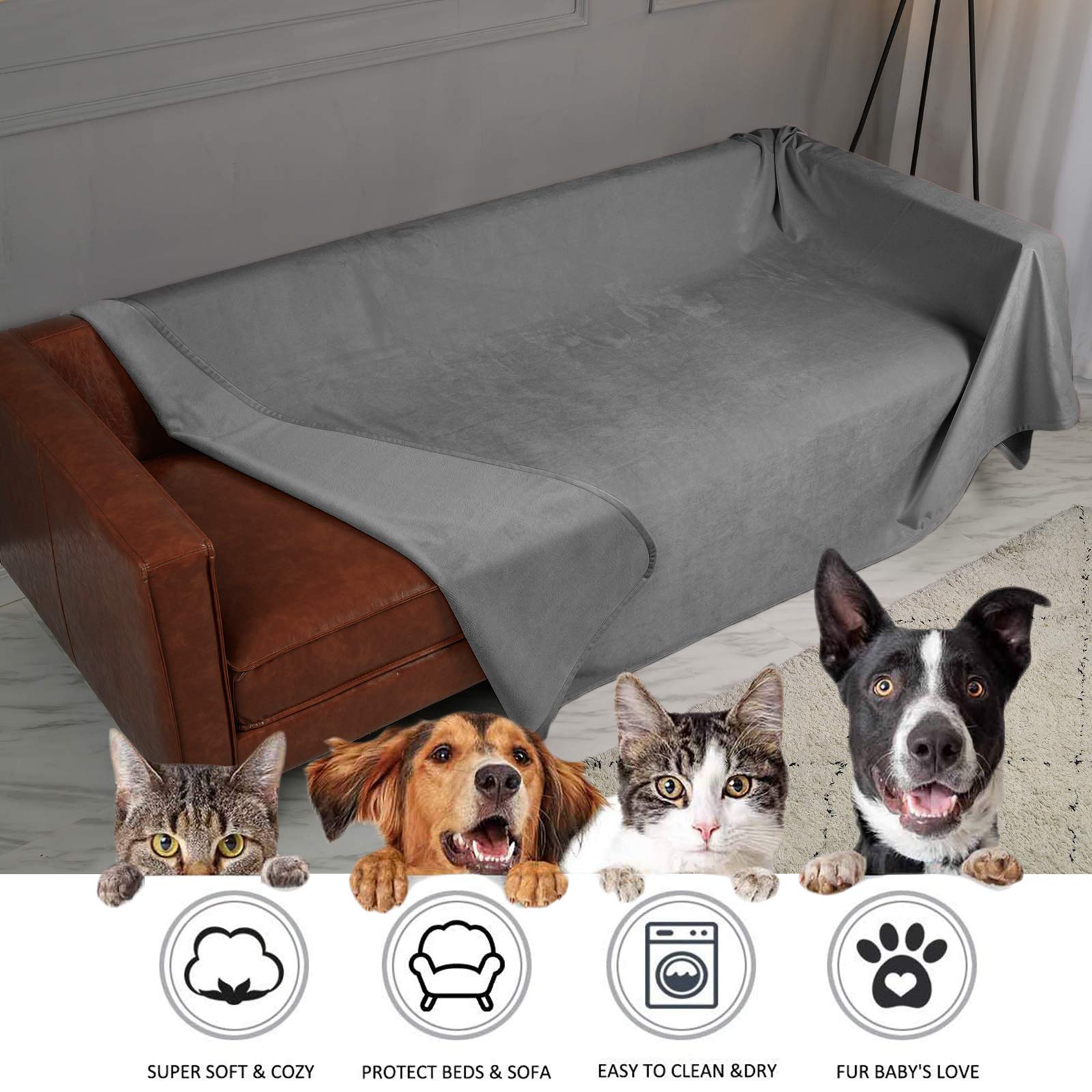 Ameritex chat couché sur la couverture, confort et hygiène assurés