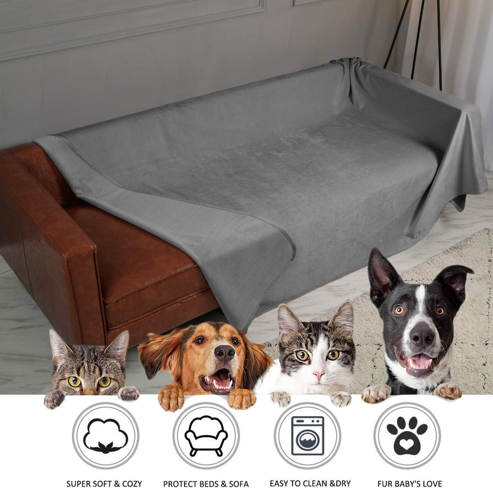 Ameritex chat couché sur la couverture, confort et hygiène assurés