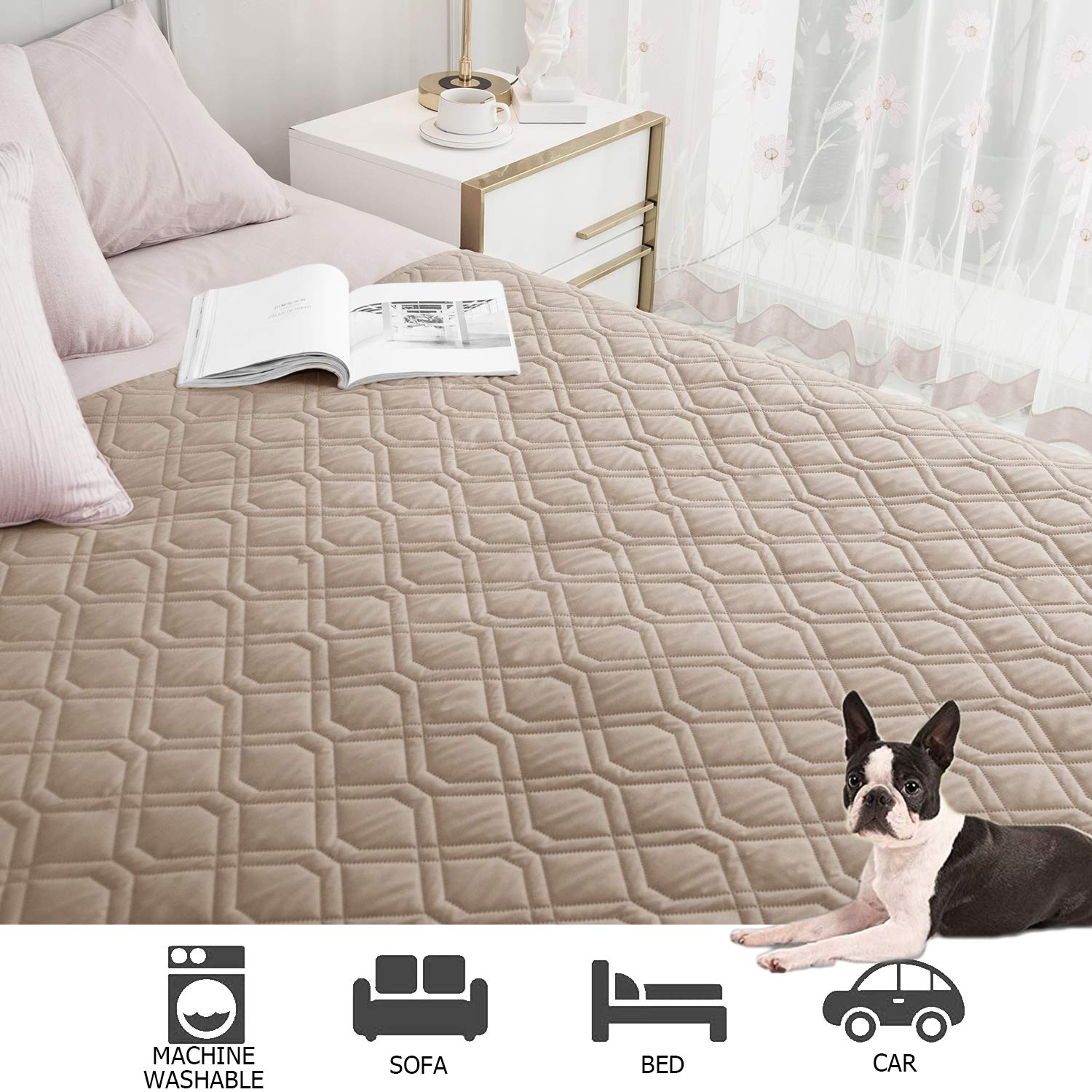 Ameritex housse en situation sur canapé avec chien, protection visible