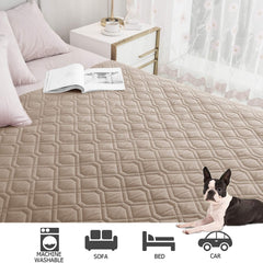 Ameritex housse en situation sur canapé avec chien, protection visible