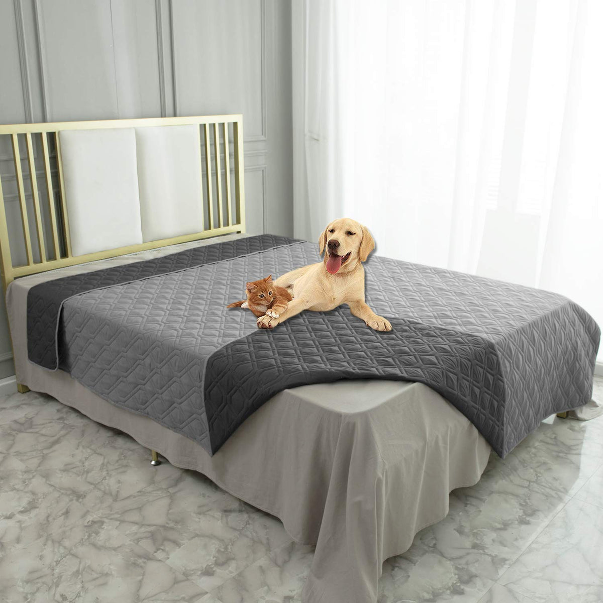 Ameritex housse canapé face avant montrant protection et style
