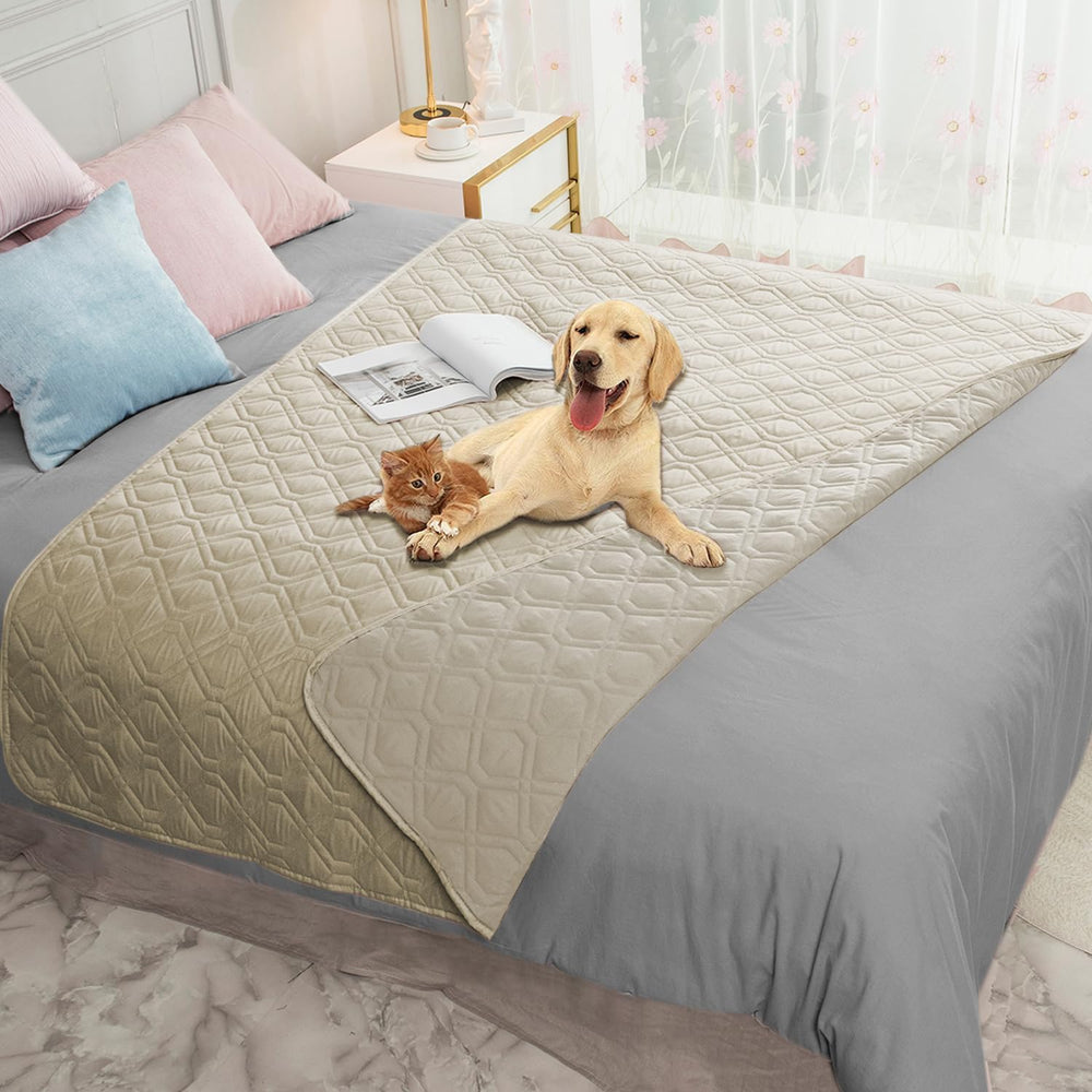 Ameritex housse de canapé déployée montrant protection complète et apparence soignée