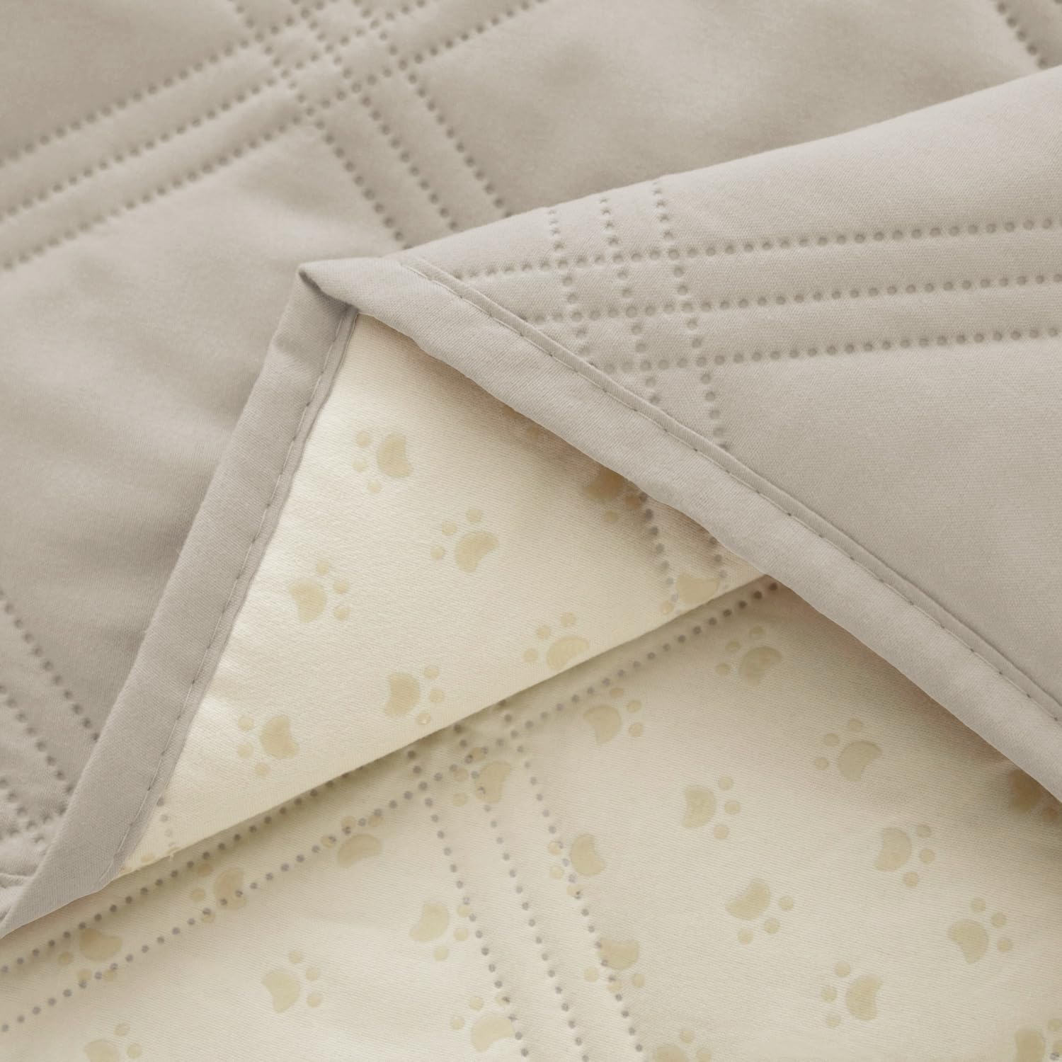 Ameritex chien sur canapé montre protection et confort instantané