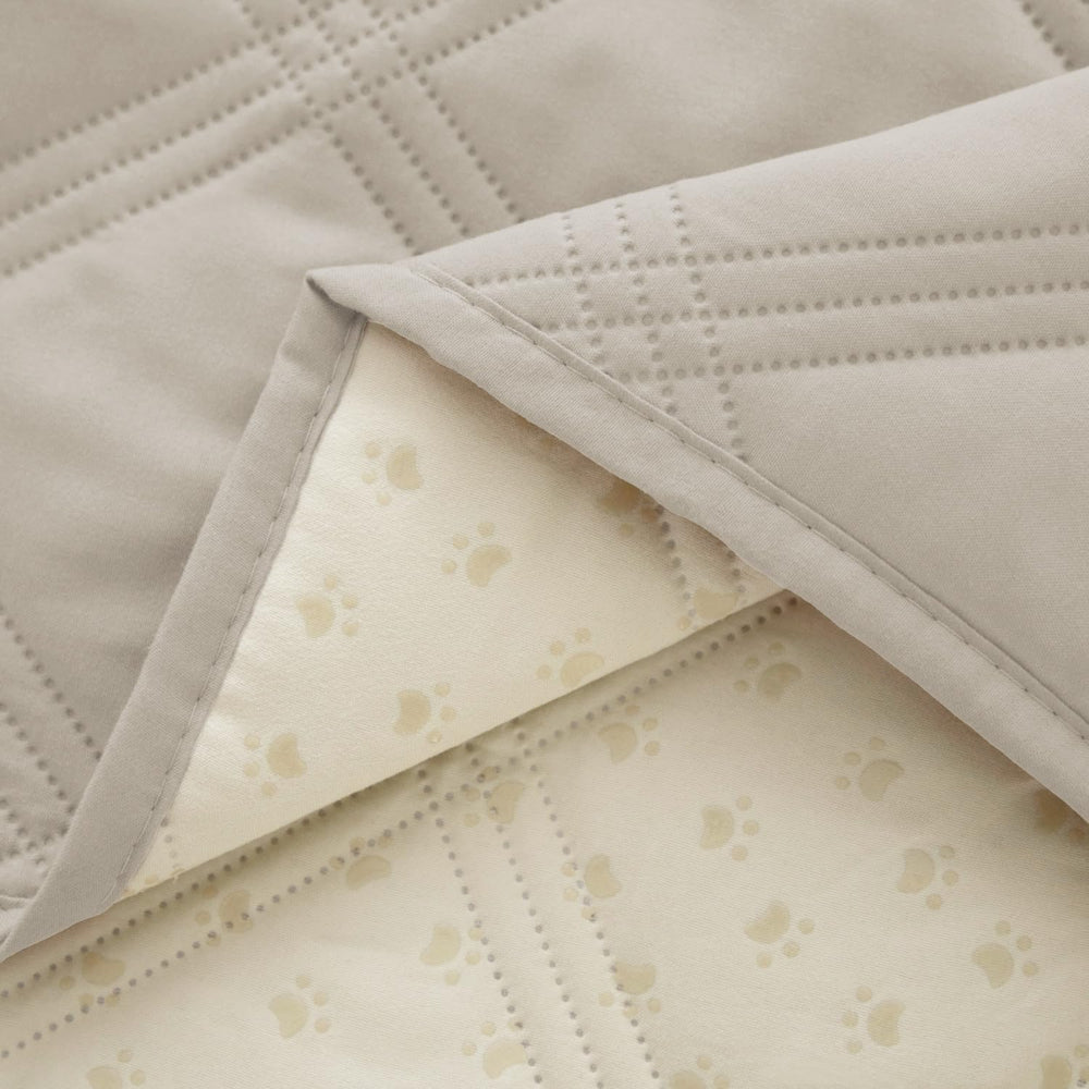 Ameritex chien sur canapé montre protection et confort instantané