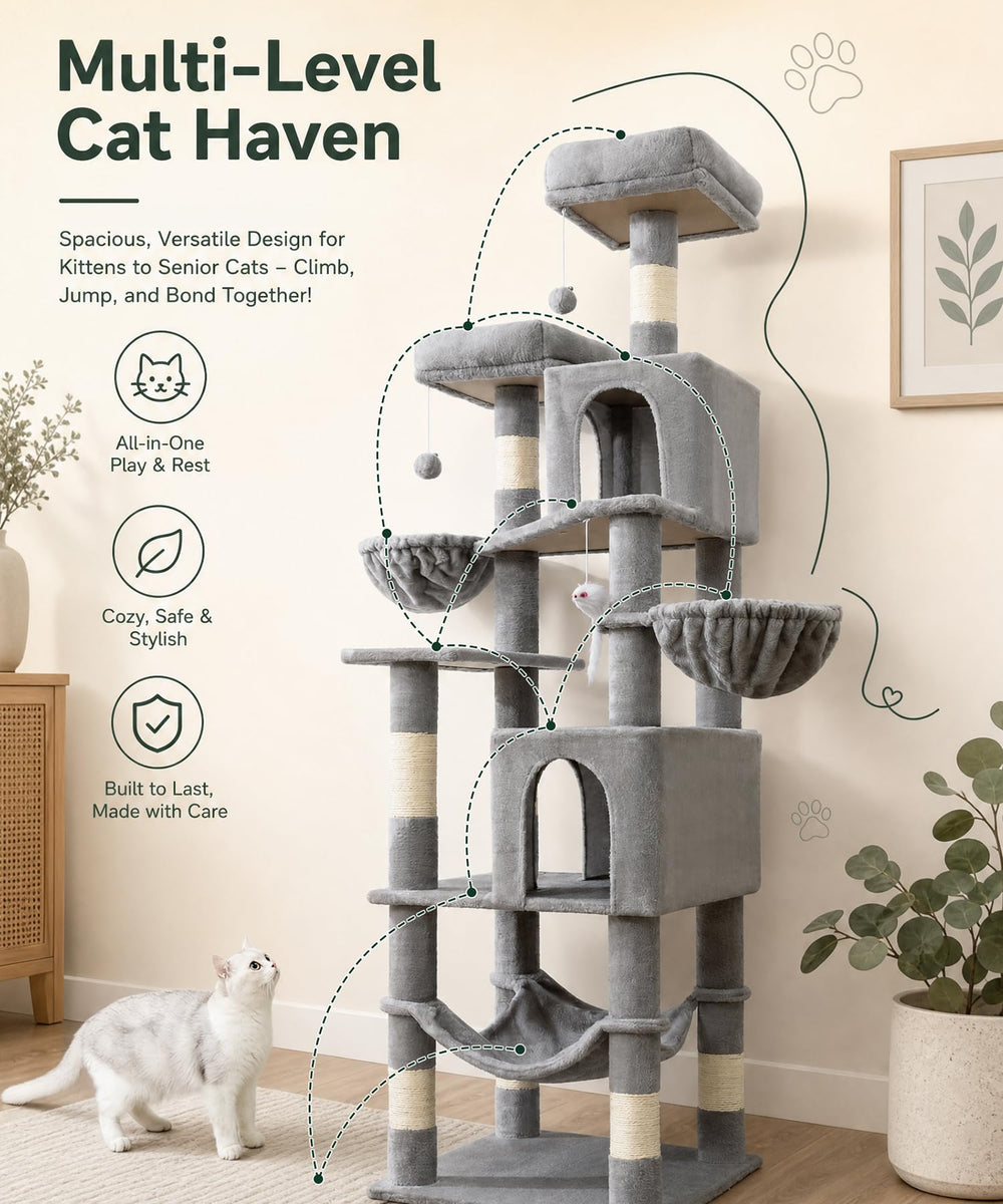 AMHANCIBLE arbre à chat dans salon démontrant échelle et échelle d'échelle