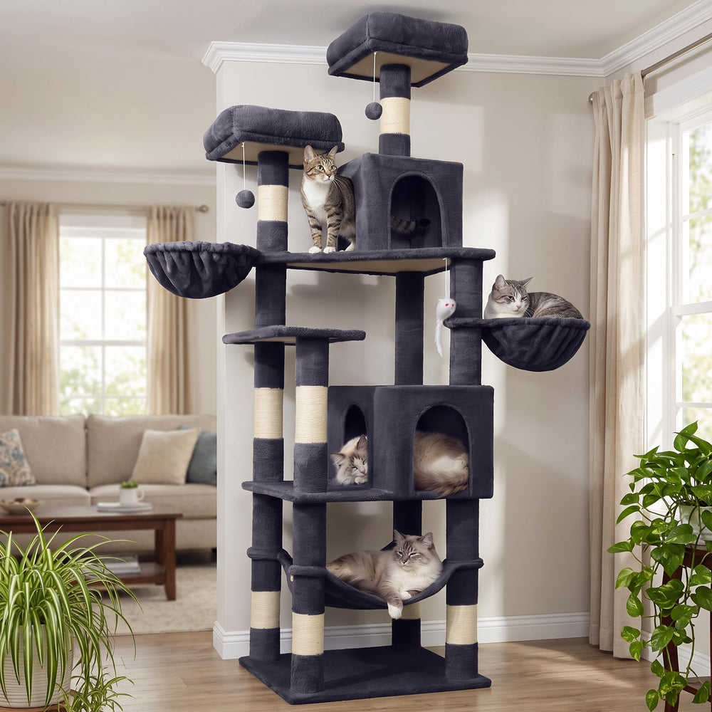 AMHANCIBLE vue d'ensemble de l'arbre à chat montrant stabilité et multiple zones de repos