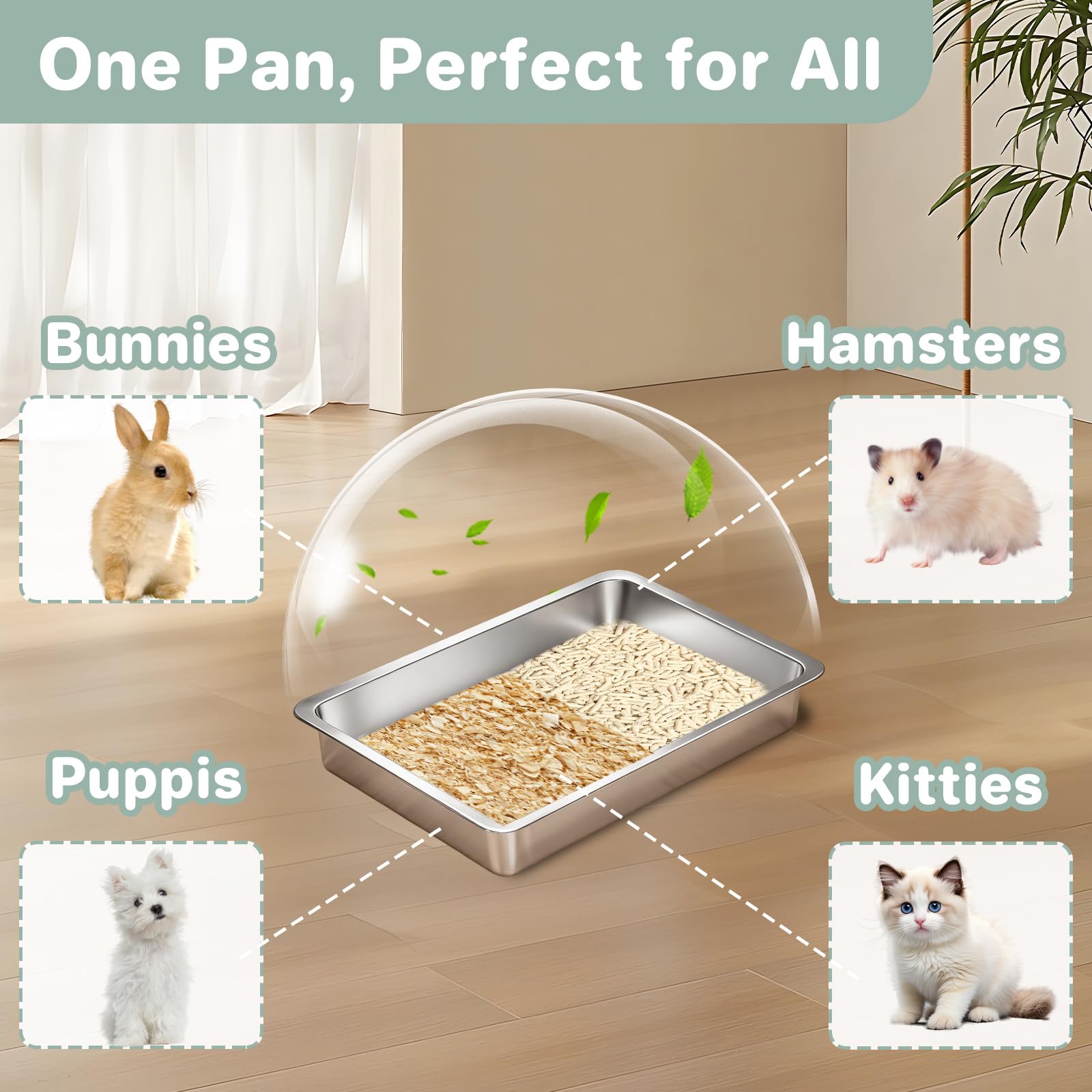 Amibud chaton utilisant le bac pour un apprentissage confortable