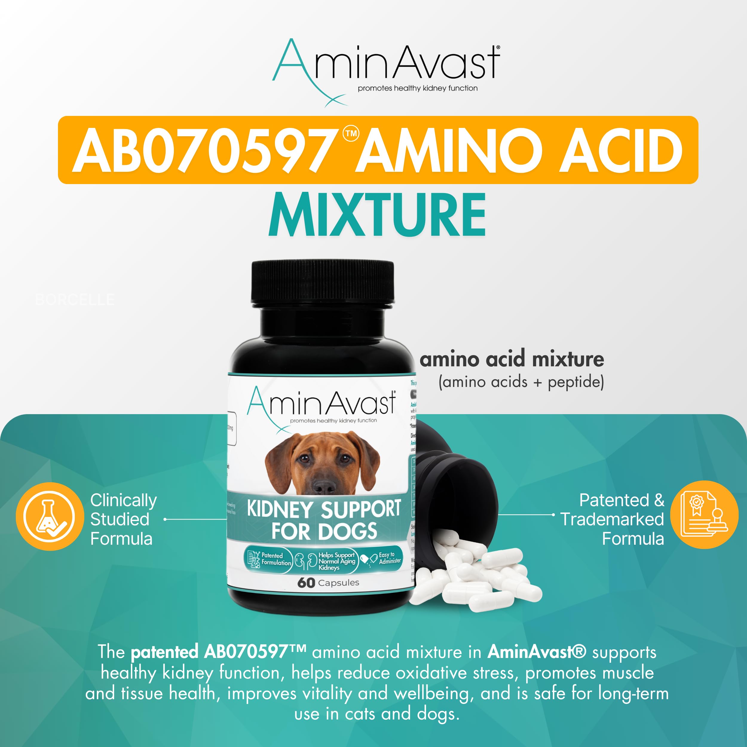 AminAvast capsule ouverte montrant la poudre facile à saupoudrer pour alimentation